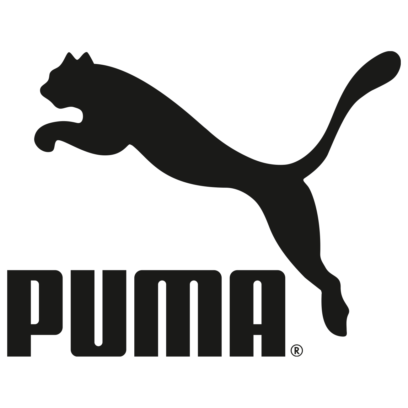 puma_wordmark_logo.png