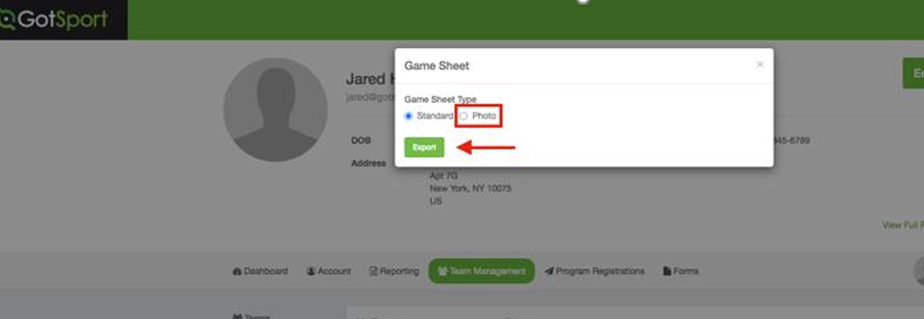 Screenshot of a web interface showing a user profile, with a pop-up window for exporting a game sheet, where the 'Photo' option is selected and a green 'Export' button is highlighted.