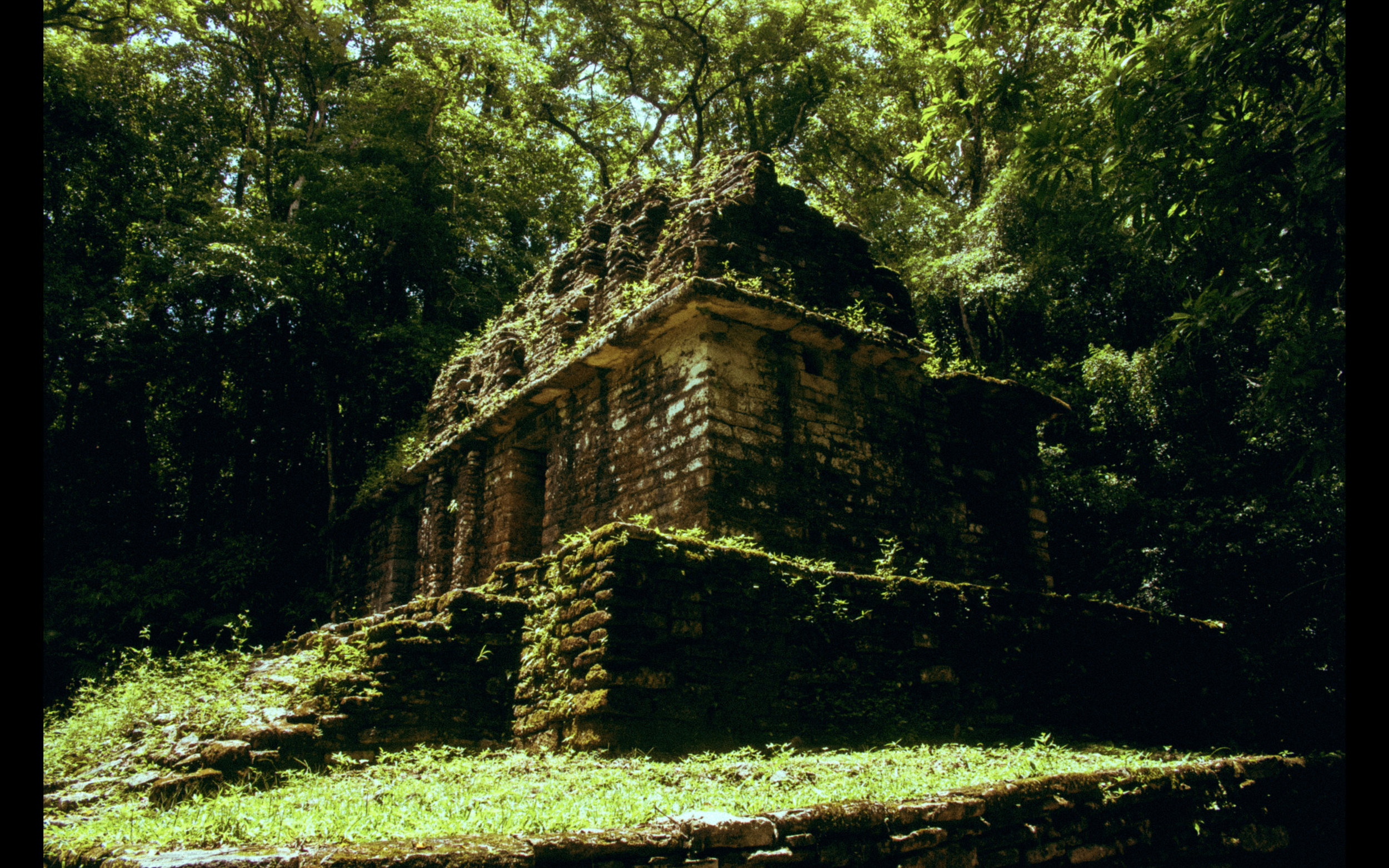 Screen Shot 2019-09-19 at 7.11.23 PM.png