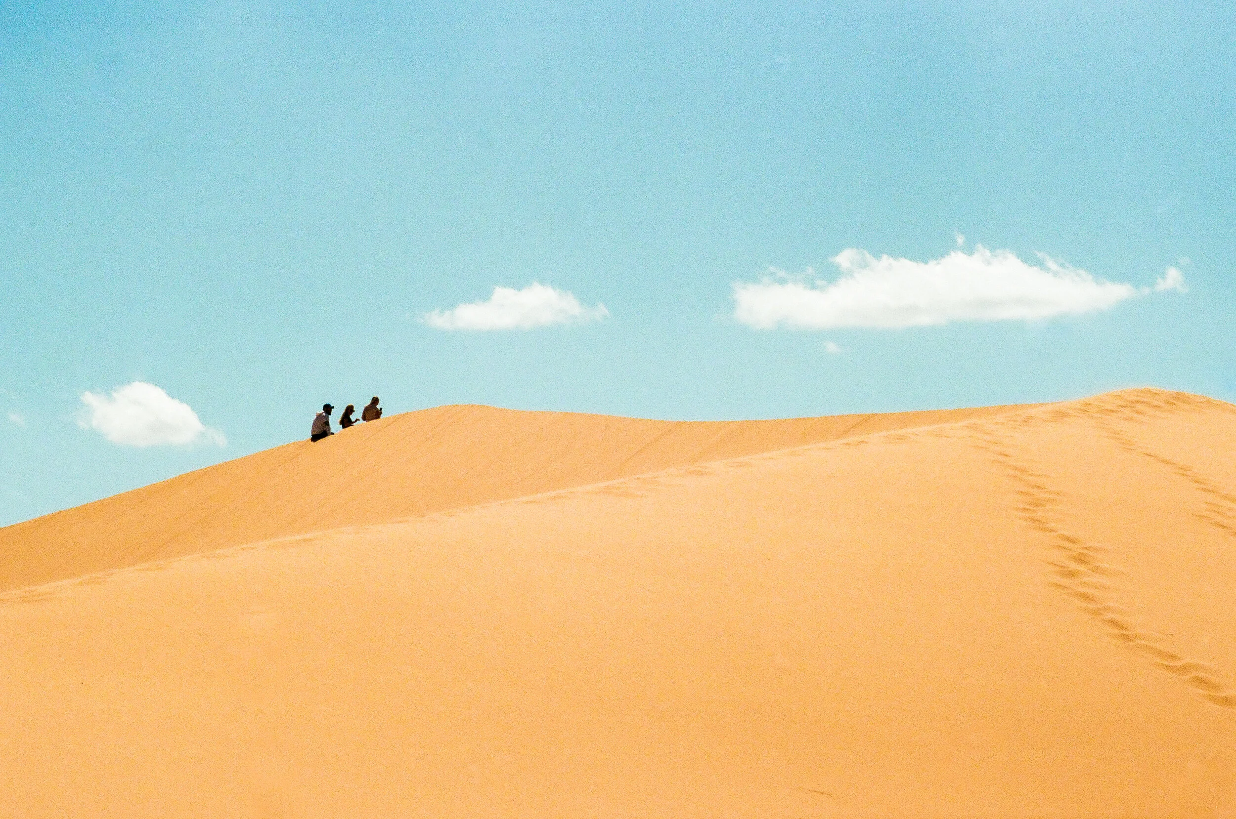 Pink Coral Dunes 2-79700035.jpg