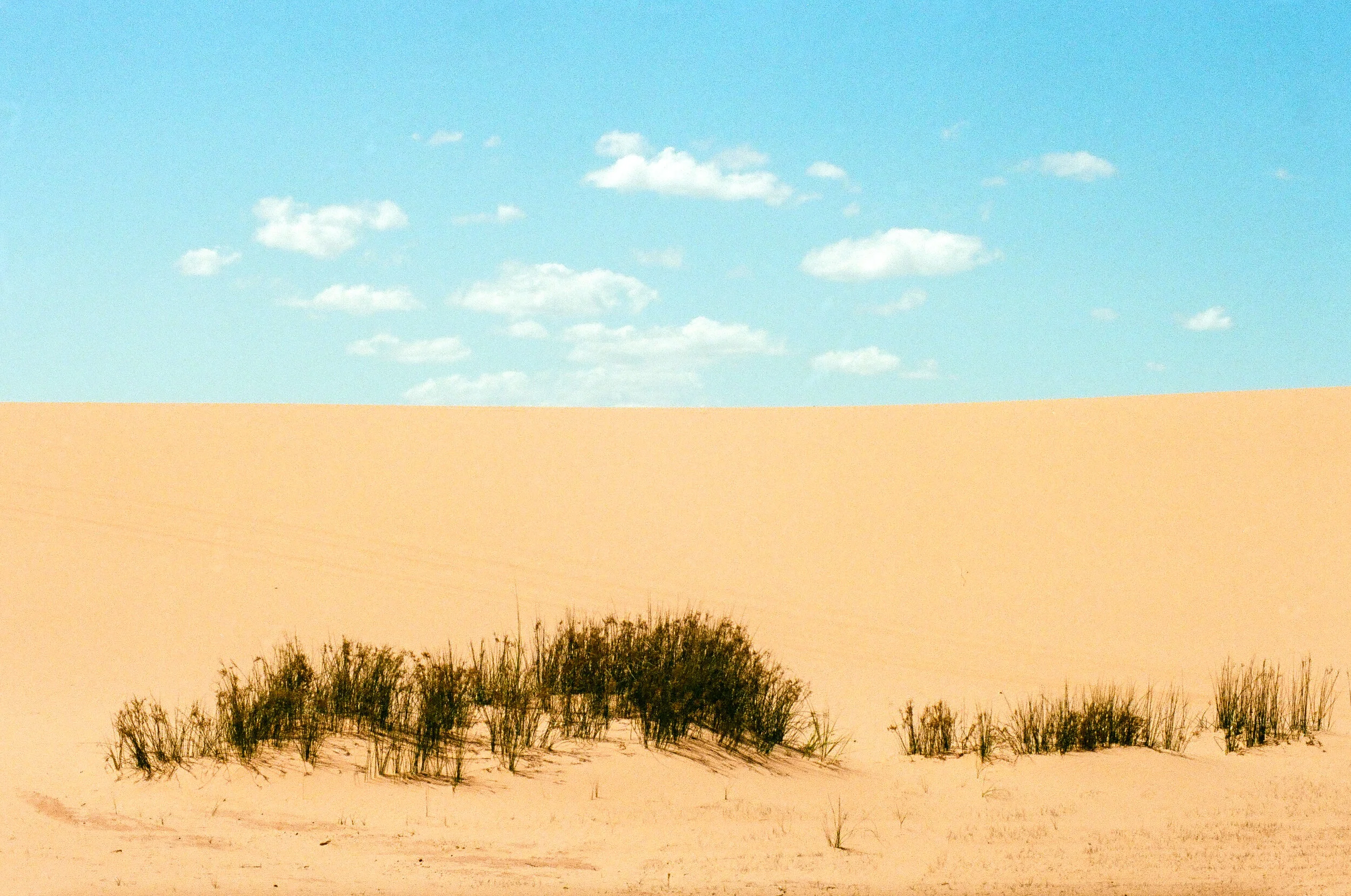 Pink Coral Dunes 3-79700036.jpg