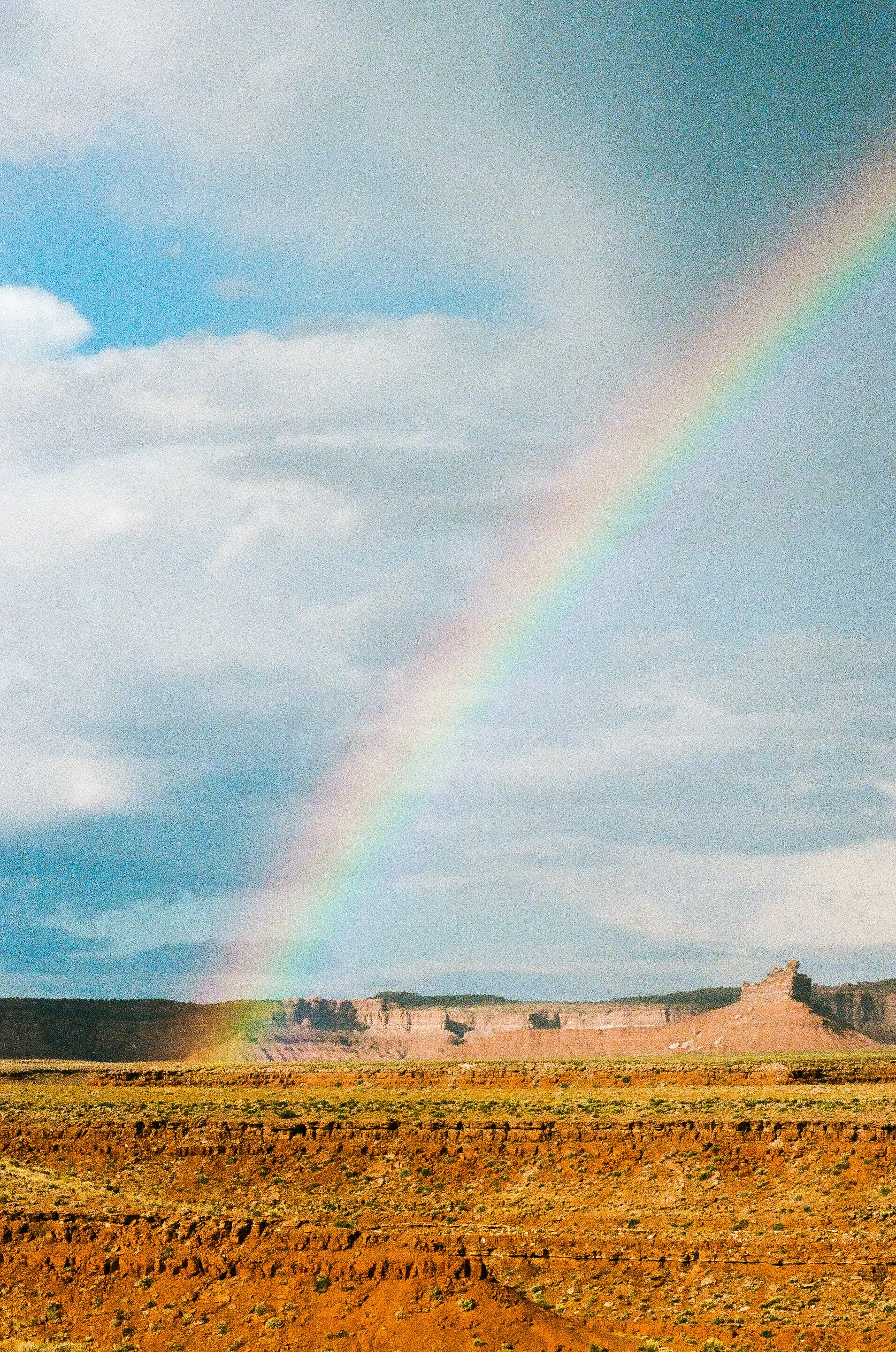 rainbow veritcal-79700021.jpg