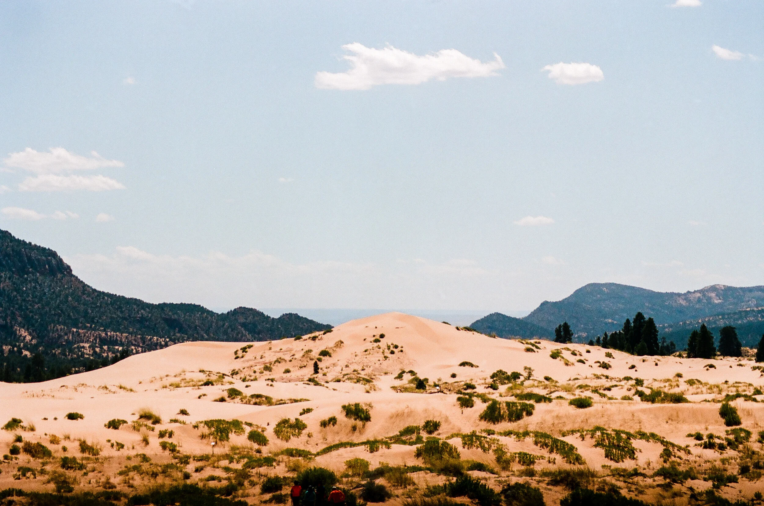coral pink sand dunes-79700033.jpg