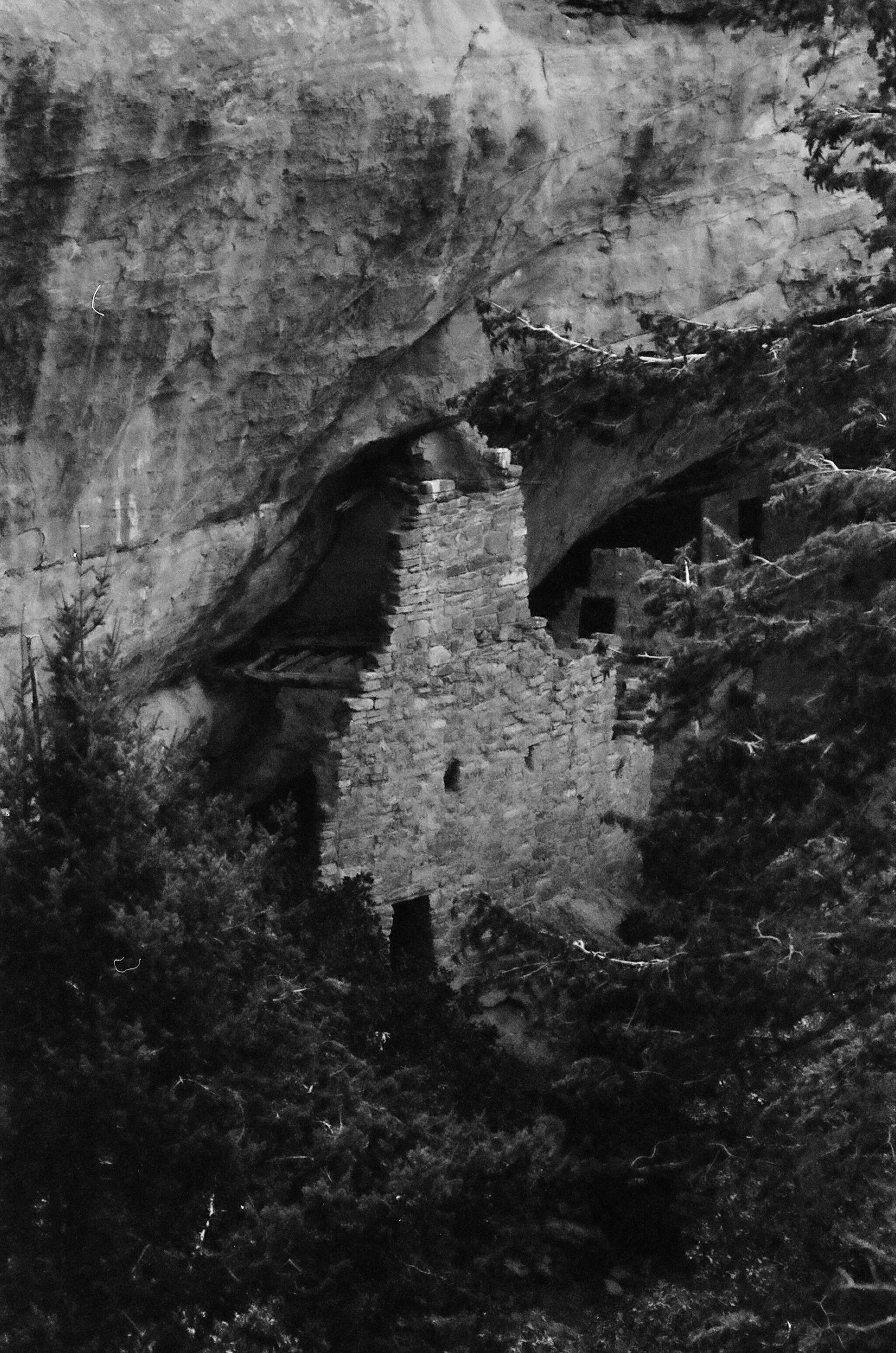 Mes Verde House vetical-000087410006.jpg