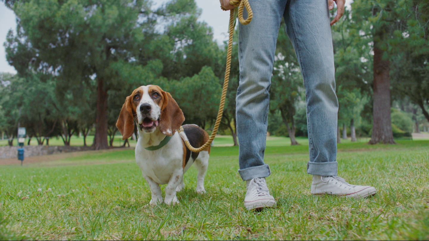 Screen Shot 2019-11-04 at 3.31.58 PM.png