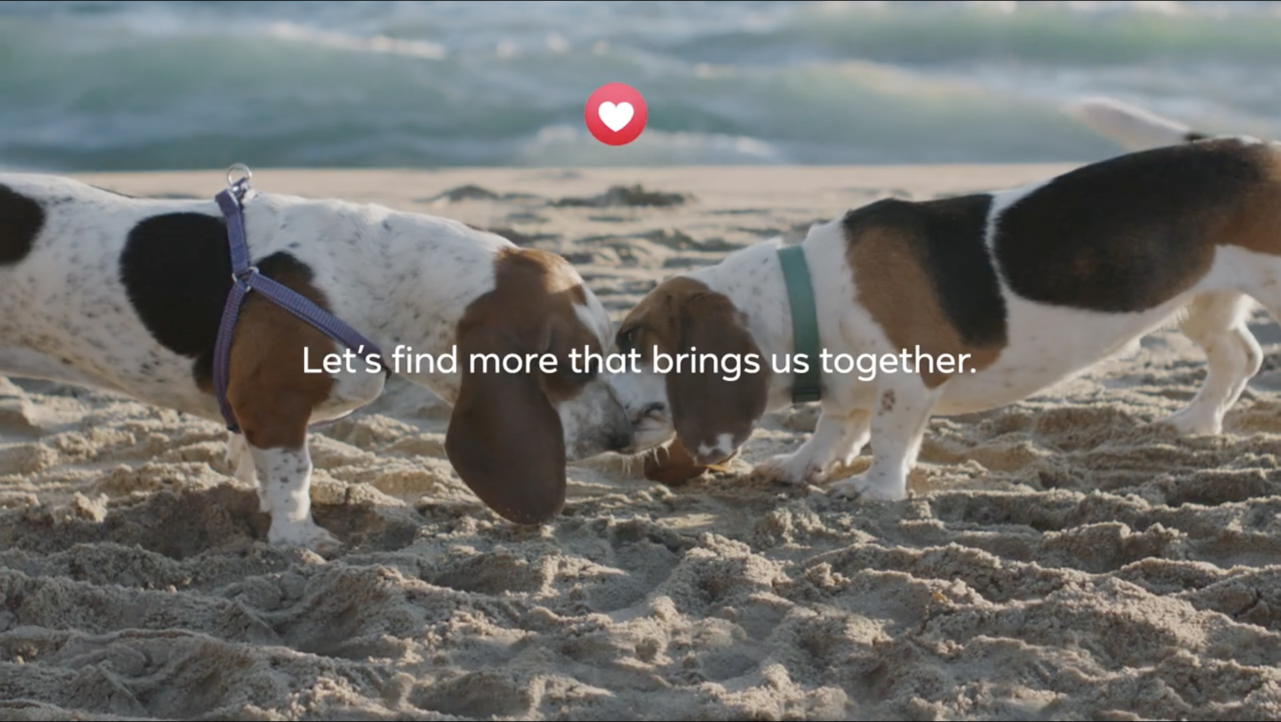 Facebook Basset