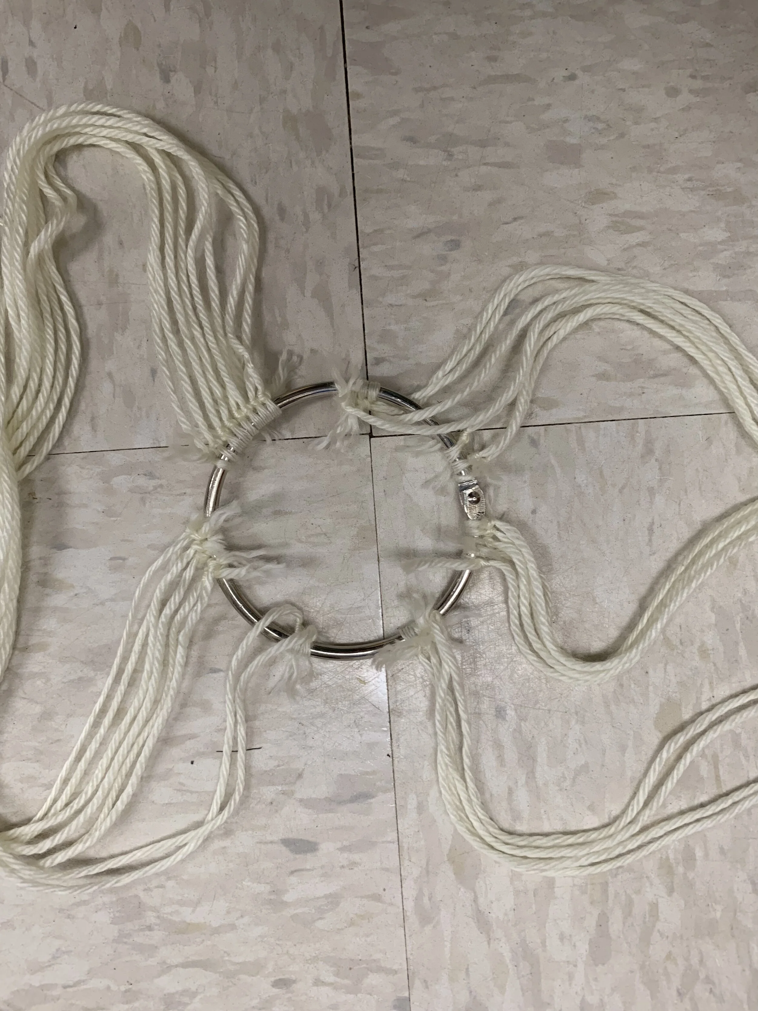 image1.jpeg