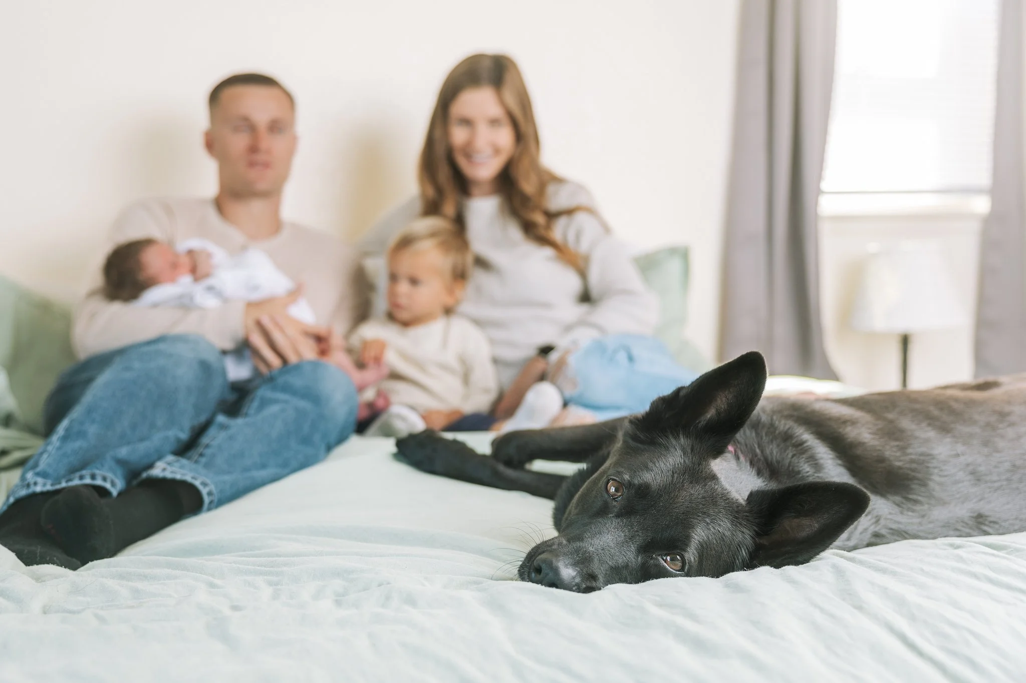 Family of 4 sitting on a the parents' bed while their black dog lays on the foot of the bed, staring at the camera, during an at-home family session.