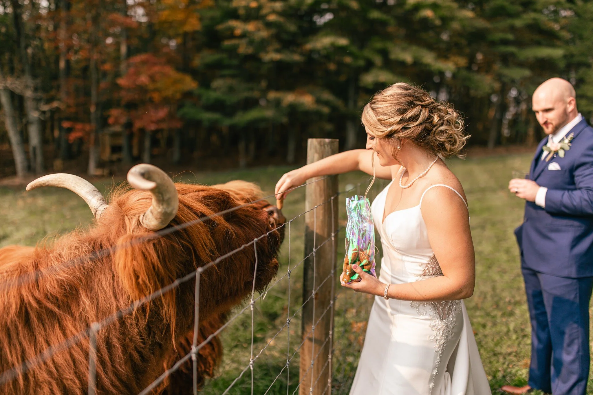 Mt-Vale-Highlands-Wedding-Reception-4.jpg