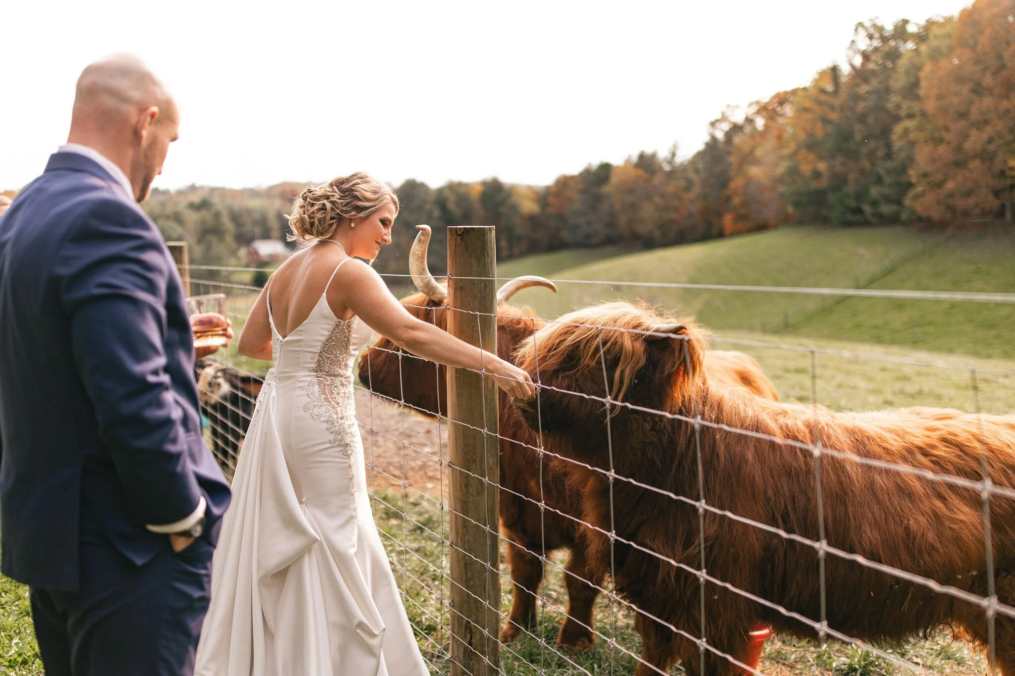 Mt-Vale-Highlands-Wedding-Reception-5.jpg