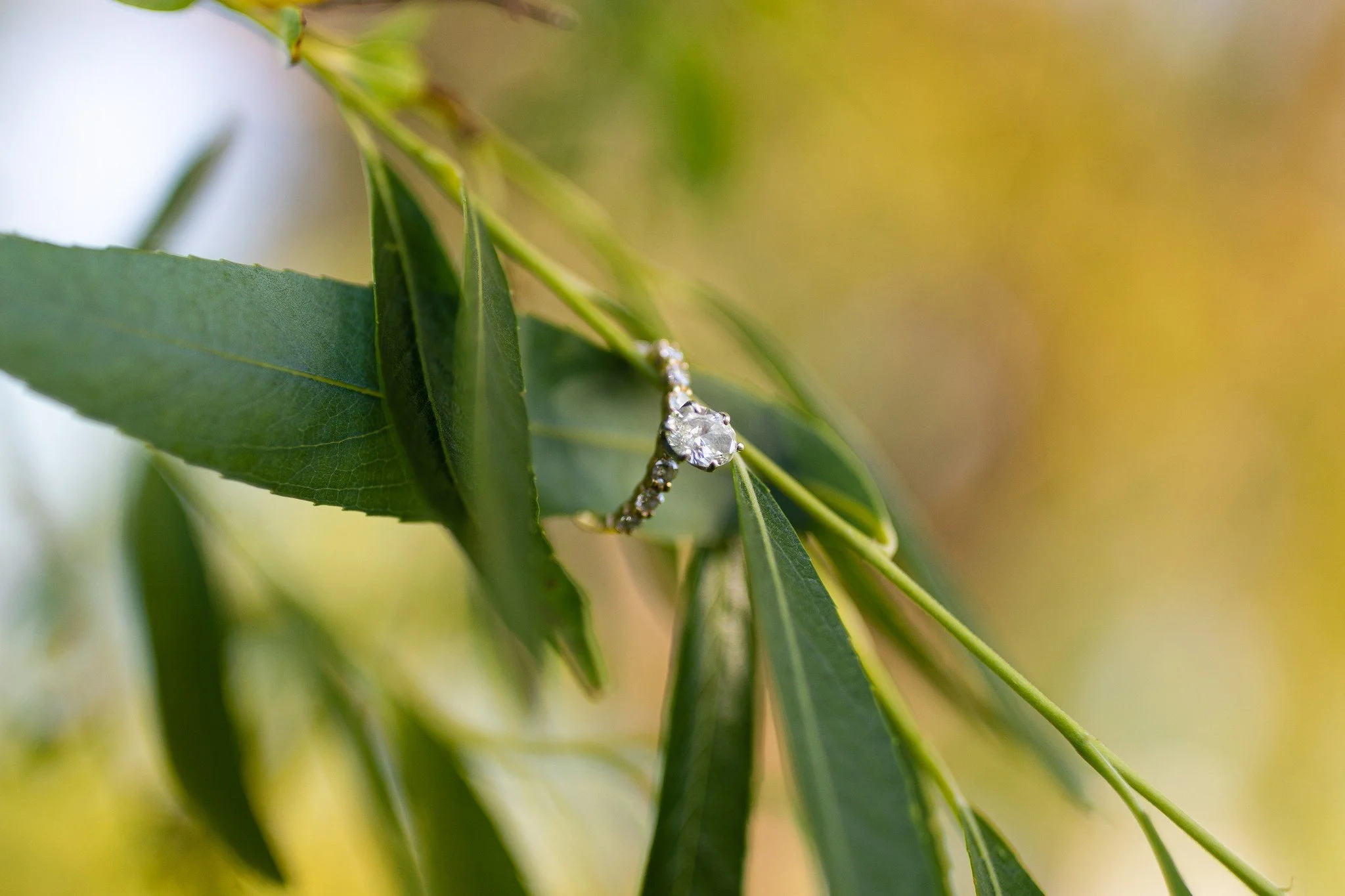 Claytor Lake Engagement Photos-64.jpg