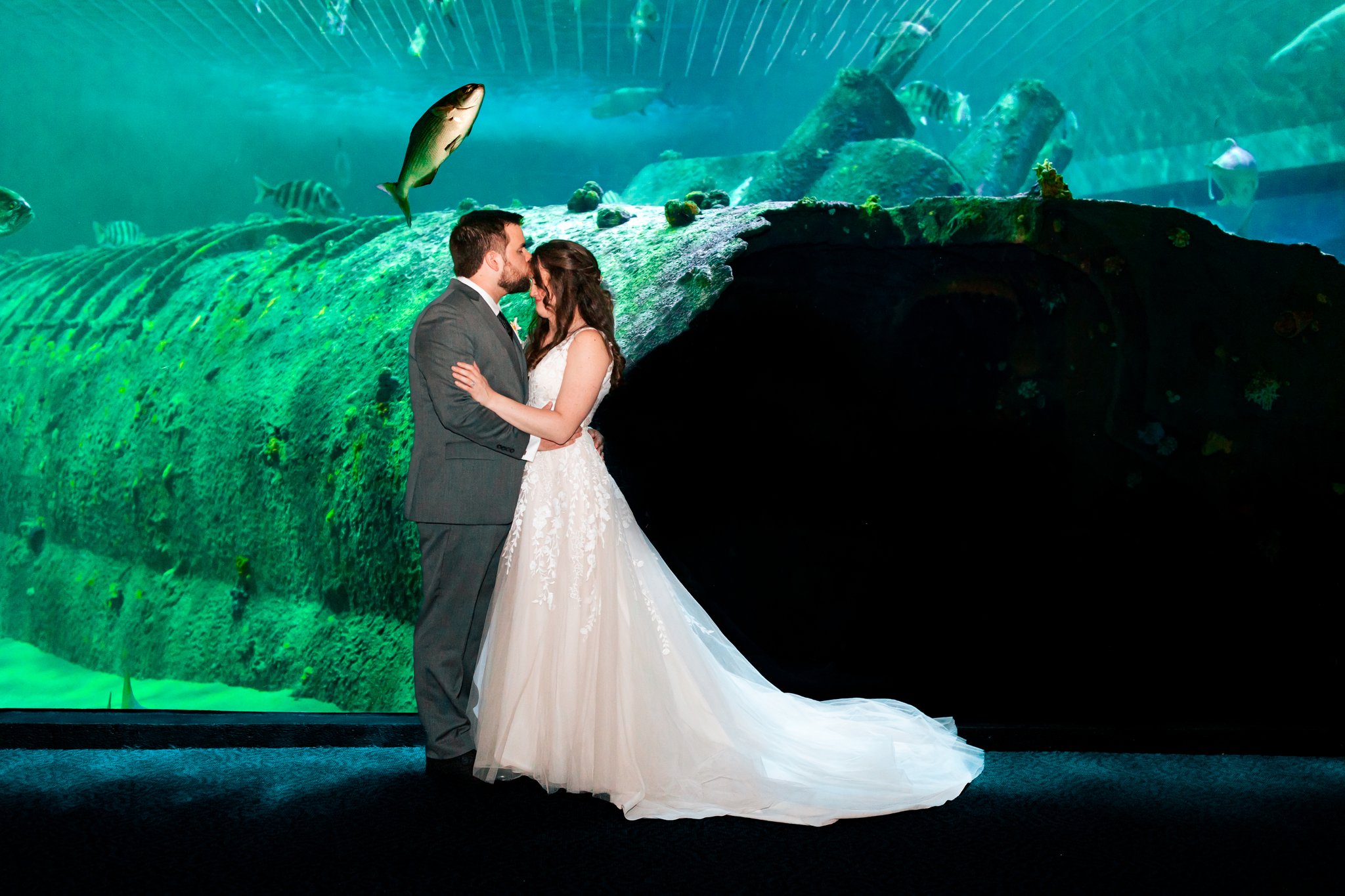 NC-aquarium-pine-knoll-shores-wedding-72.jpg