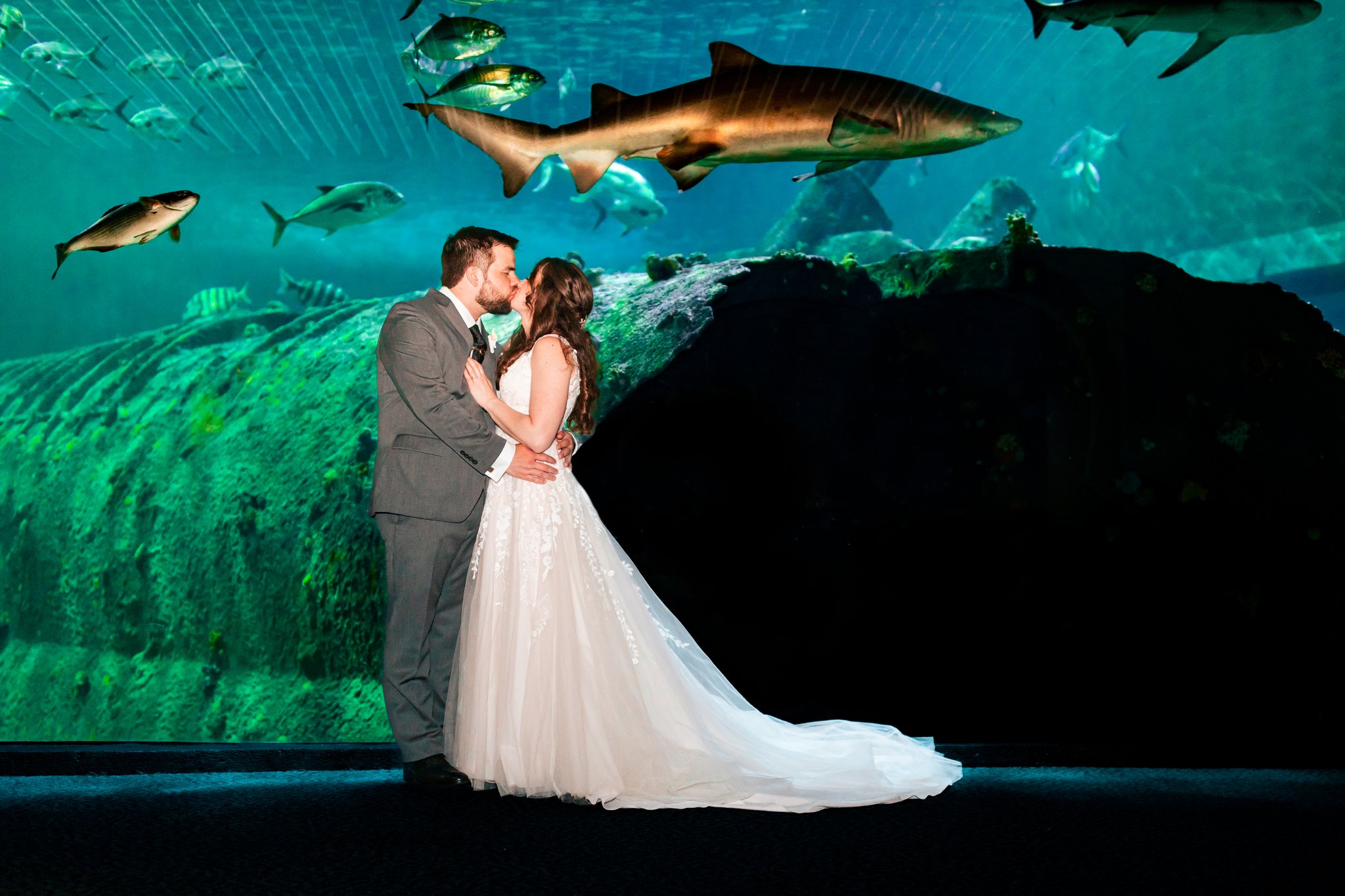 NC-aquarium-pine-knoll-shores-wedding-75.jpg