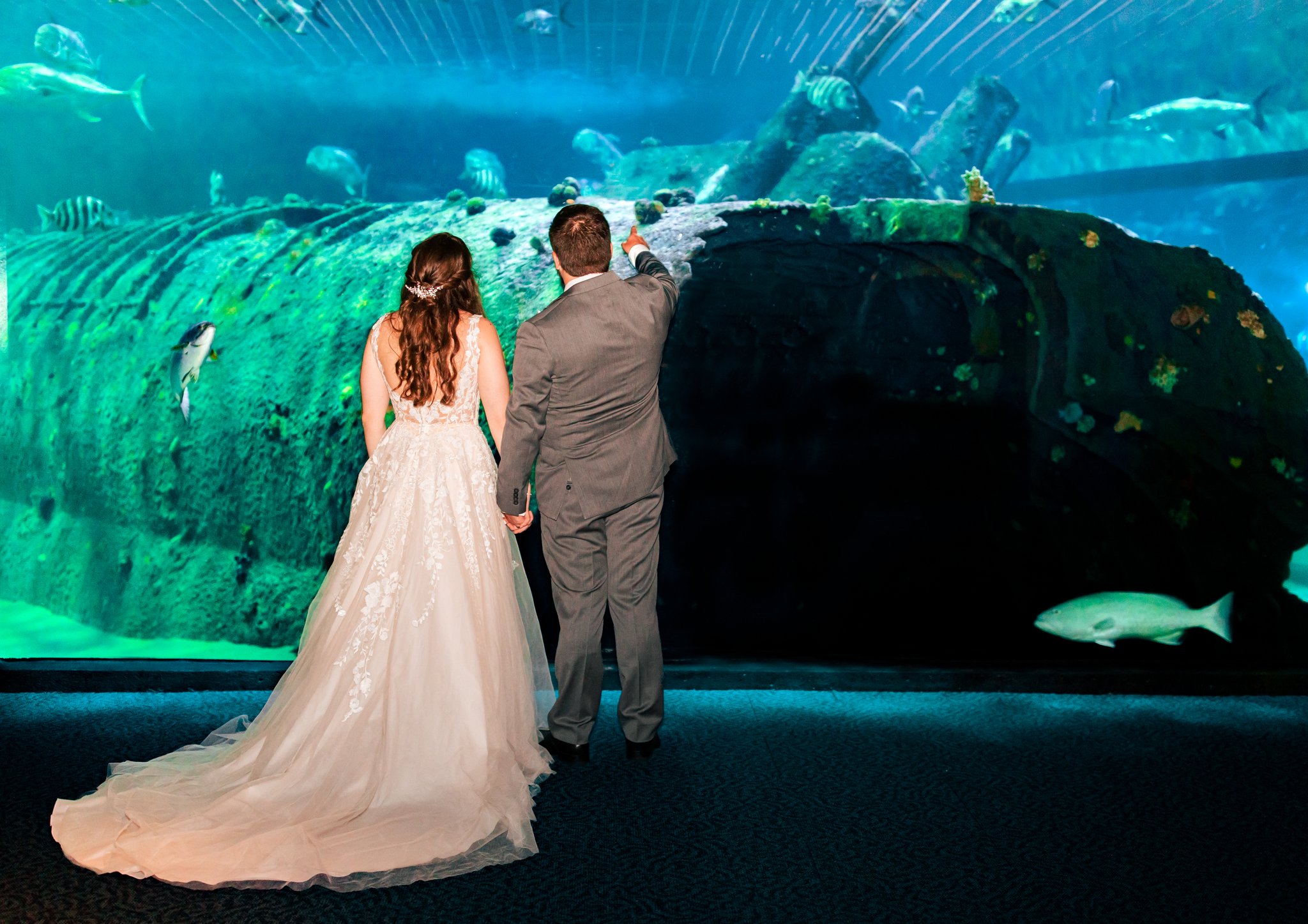 NC-aquarium-pine-knoll-shores-wedding-76.jpg