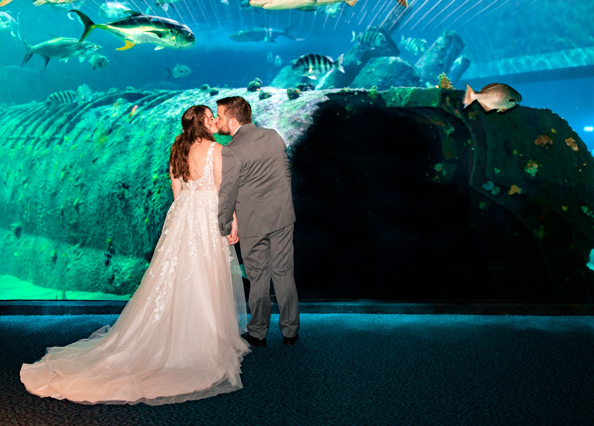 NC-aquarium-pine-knoll-shores-wedding-77.jpg
