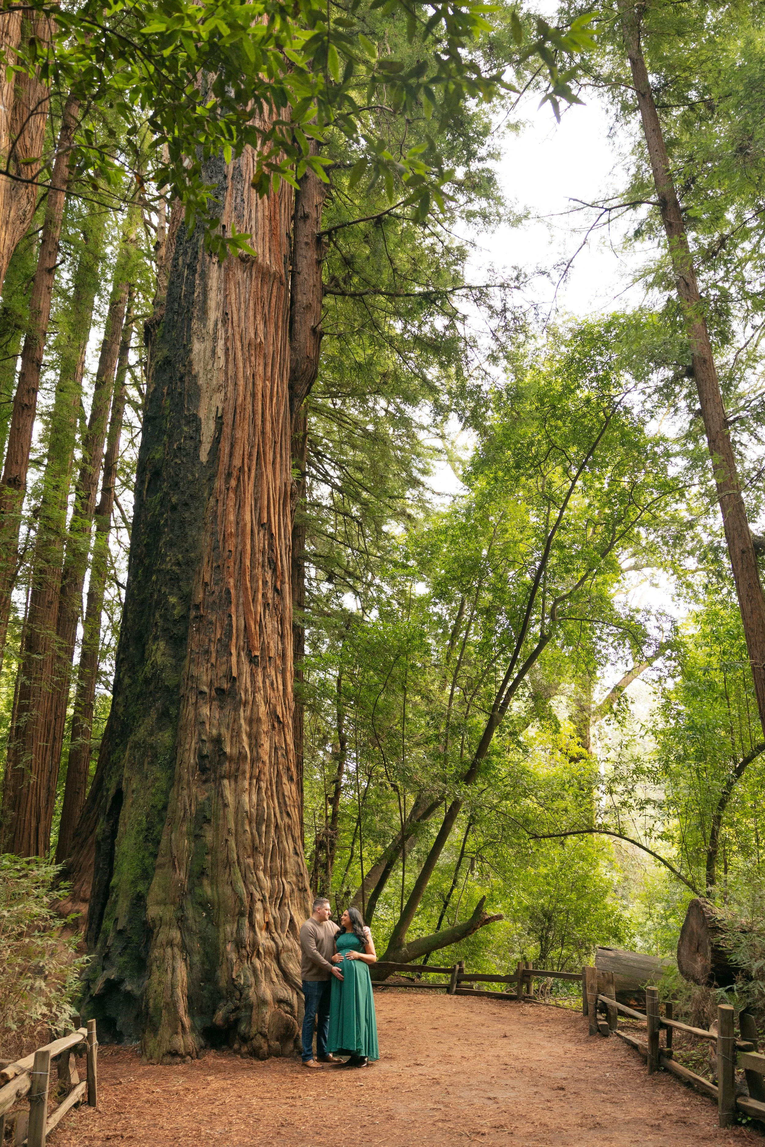 Betty-Maternity-Henry Cowell SP-6.jpg