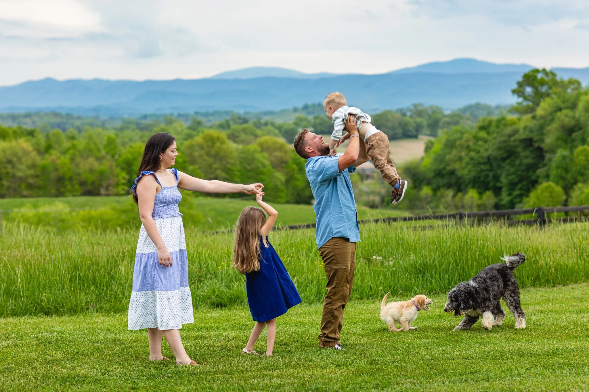 Family of 4 standing in a field, interacting with each other, playing while 2 dogs run around them.