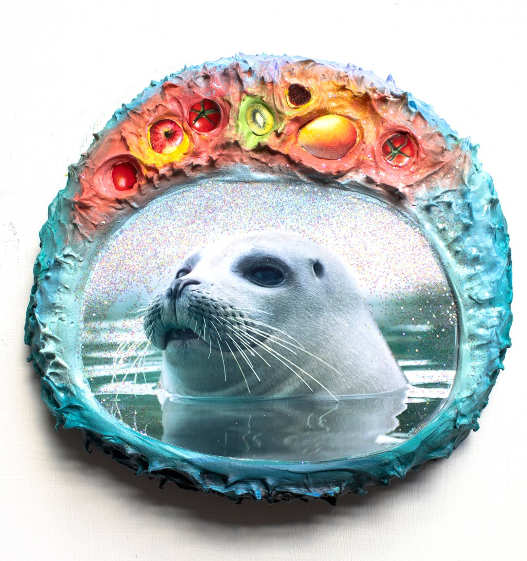 Seal Fruit Melody at the Surface
