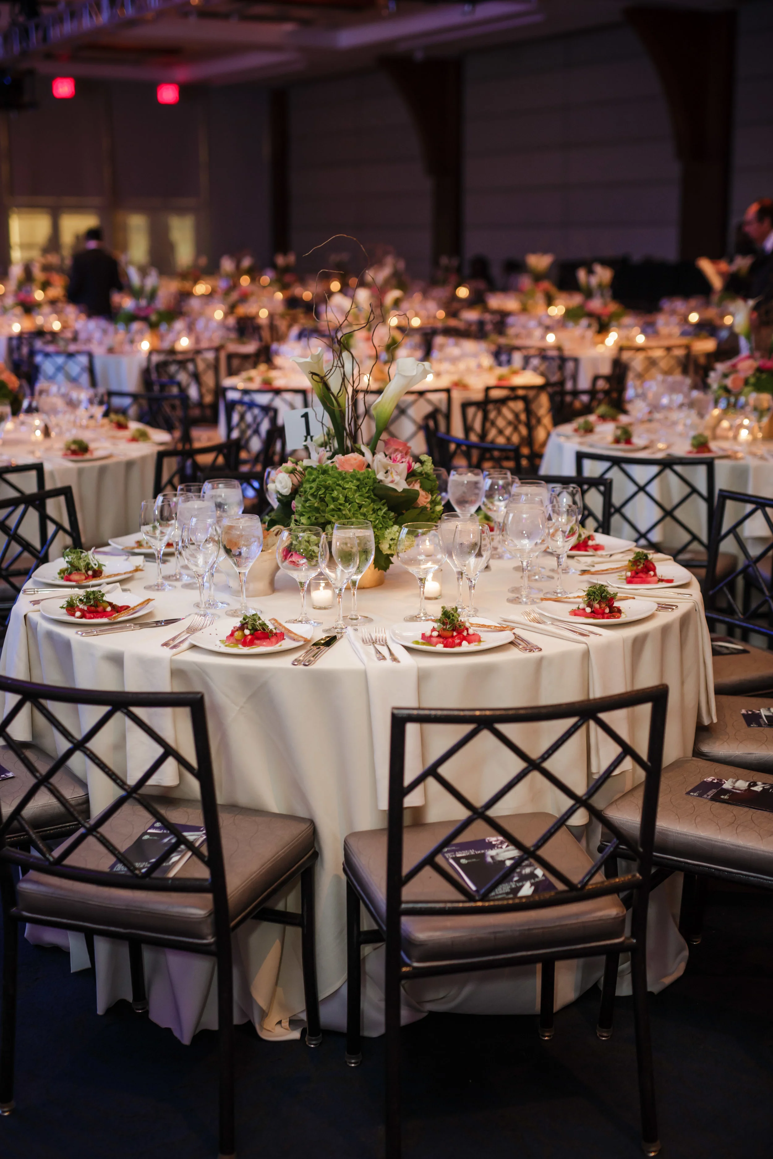 53rd Annual Frederick Douglass Dinner Awards, by NYC Event Photographer Kamila Harris