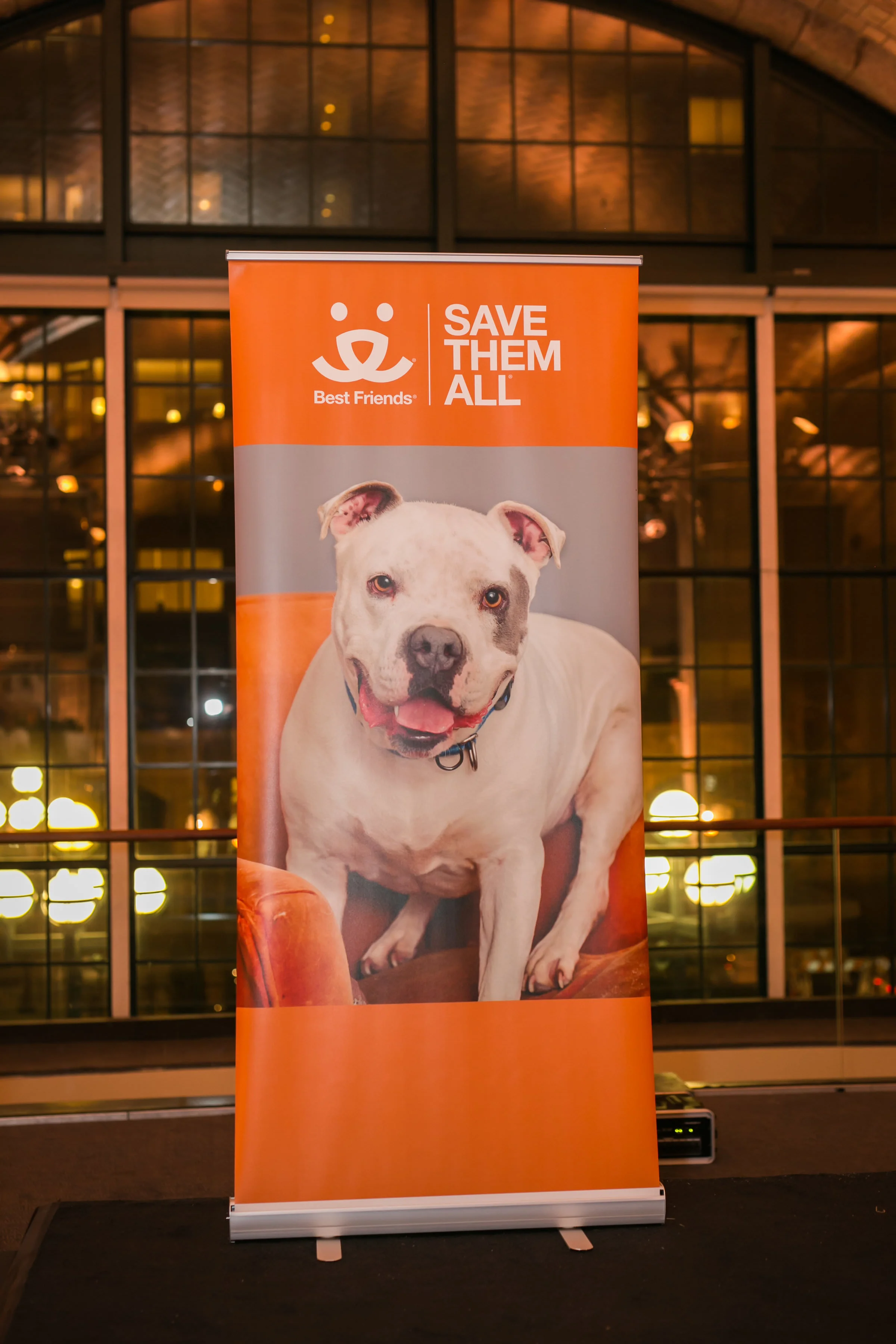 Best Friends Animal Society Fundraiser, by NYC Event Photographer Kamila Harris