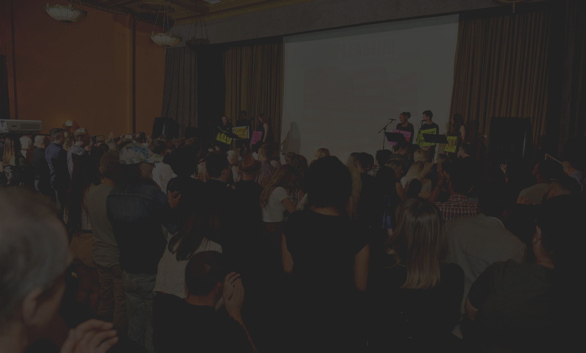 Copy of SONA Half Page.png