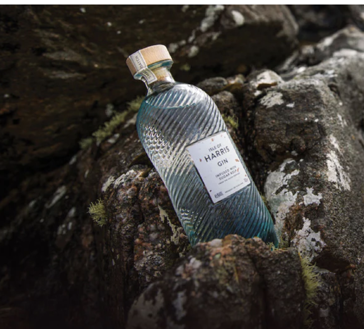 Foraging, Seaweed and Gin — East Neuk Seaweed