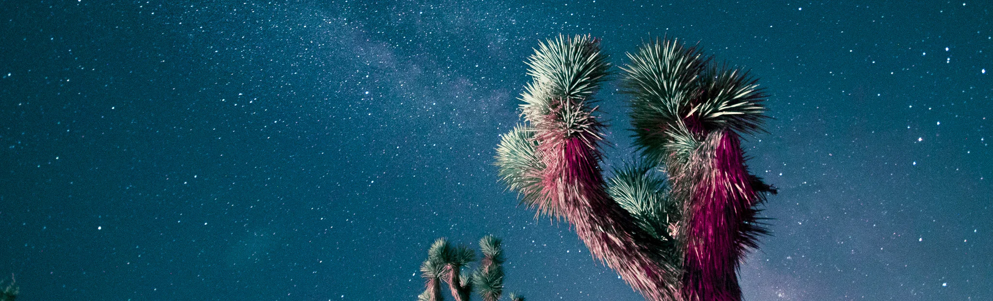 ProfilePicJuly2019 (1 of 1).jpg