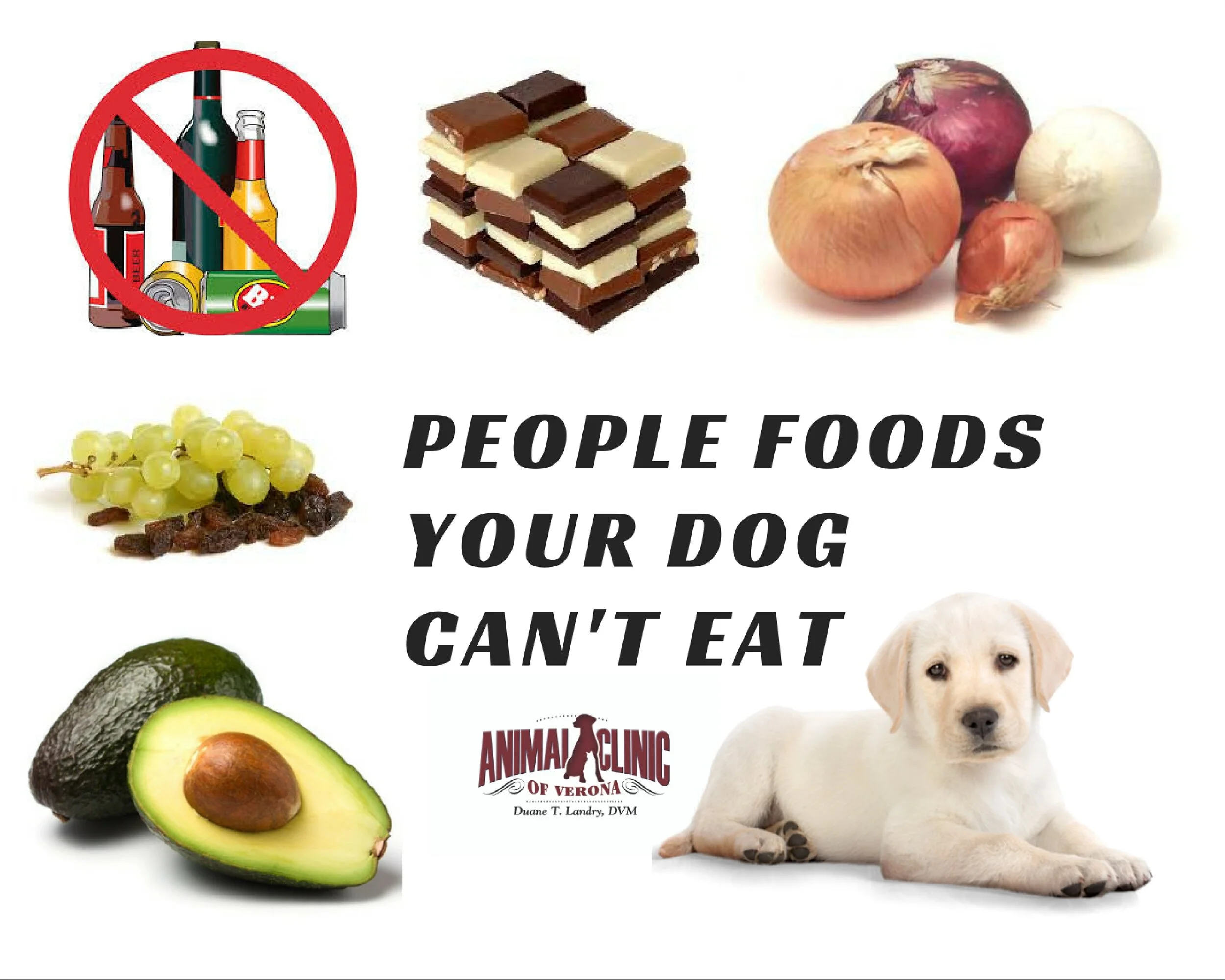 Pets and Picnics, Holidays and Special Events