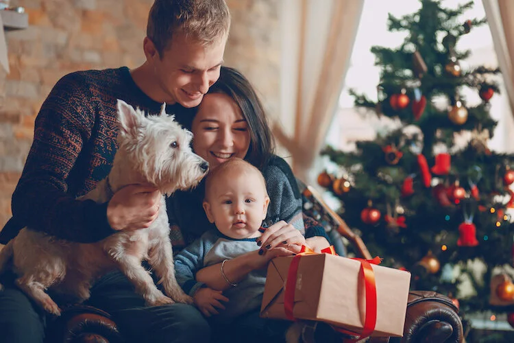 Christmas And Your Pet