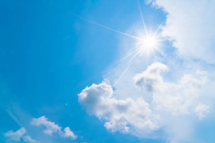 What To Do If You See A Pet In A Hot Car