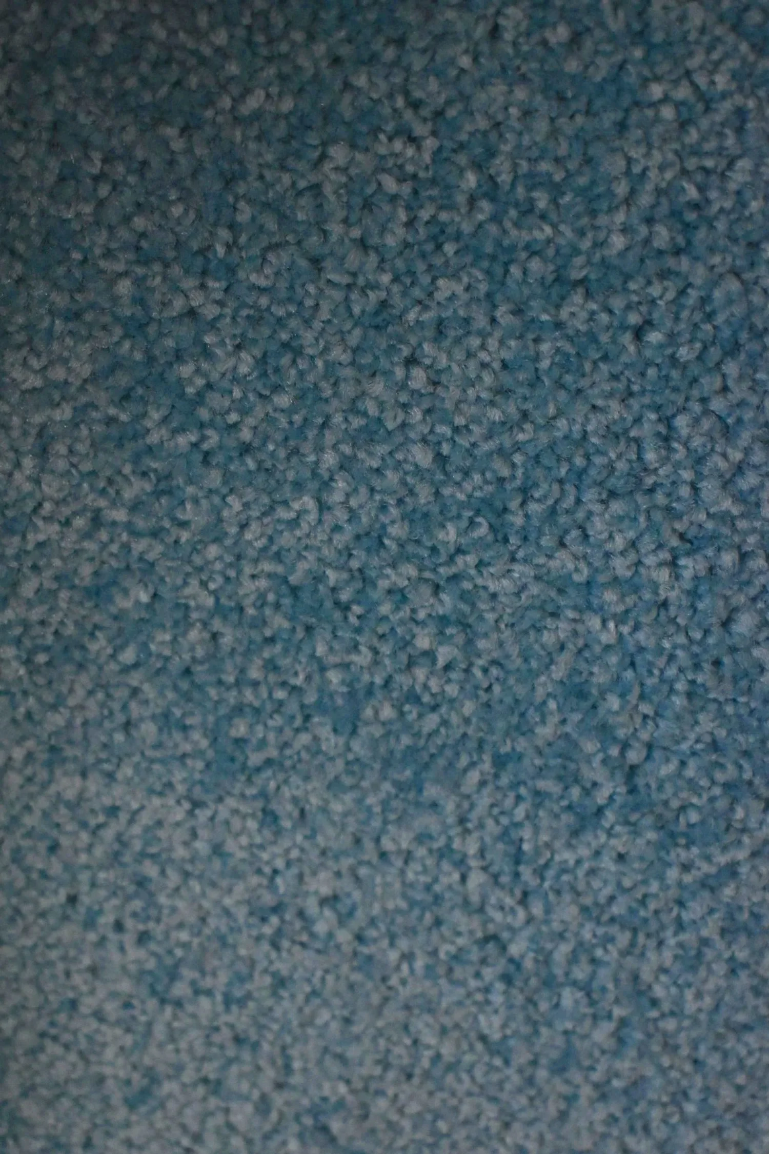 DSC_0082.jpg