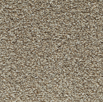 CANTERBURY EXTRA 16.png