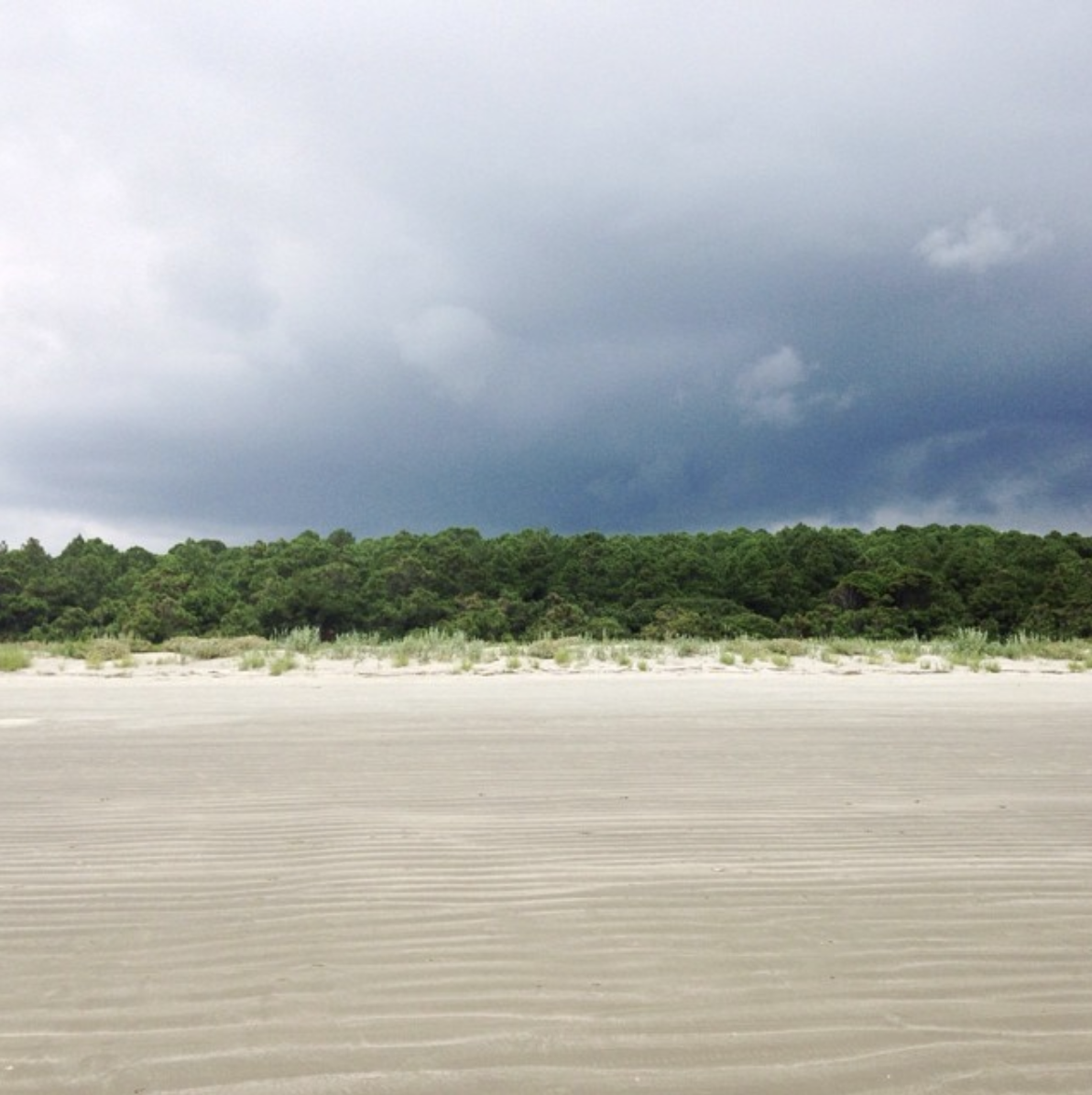 Screen Shot 2019-07-09 at 2.38.09 PM.png