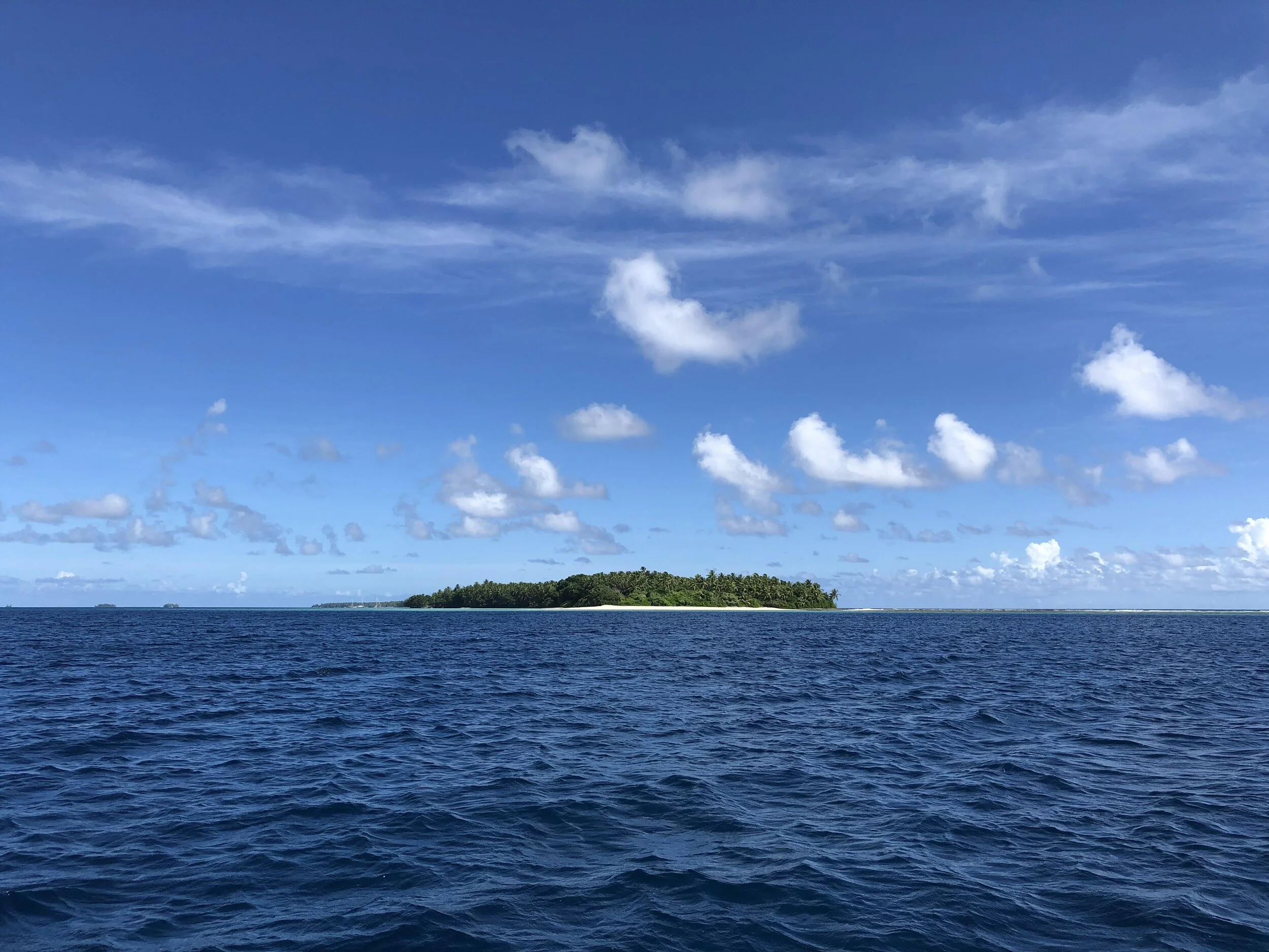 Article published in Global Environmental Change