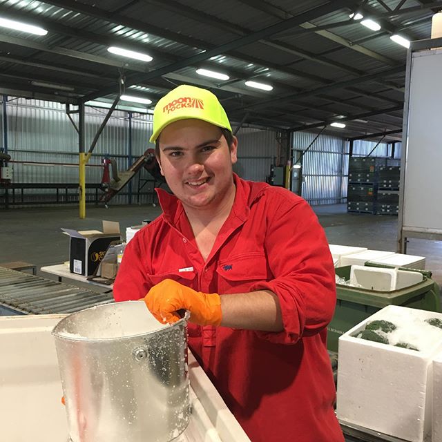 A very big warm welcome to James Claxton our School based trainee who started today.

#moonrocks #monrockspackingshed #stgeorgeqld #balonneshire #careersinhorticulture
