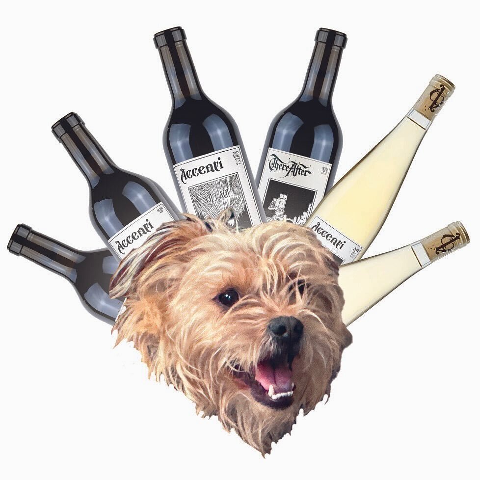 Monty&rsquo;s party pack is BACK

Six bottles of perfect wines for your holiday gatherings. Curated deliciousness, ready to ship. Tap that link in our bio to get it for a nice discount.

Cheers,
Monty 🐾