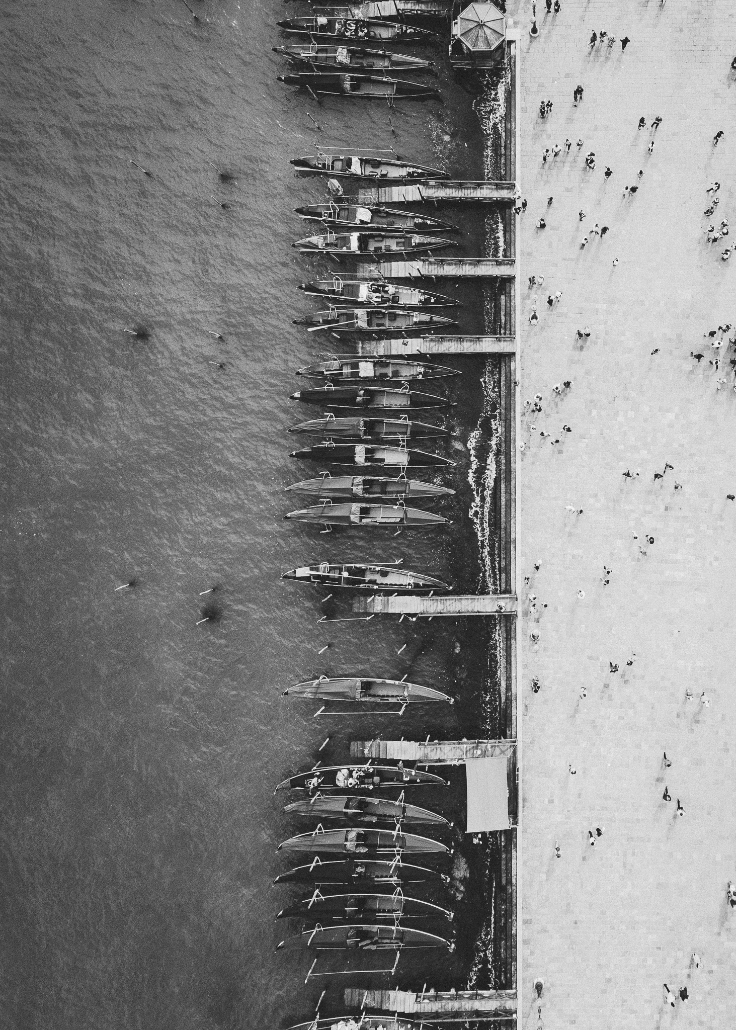 DJI_0130.jpg