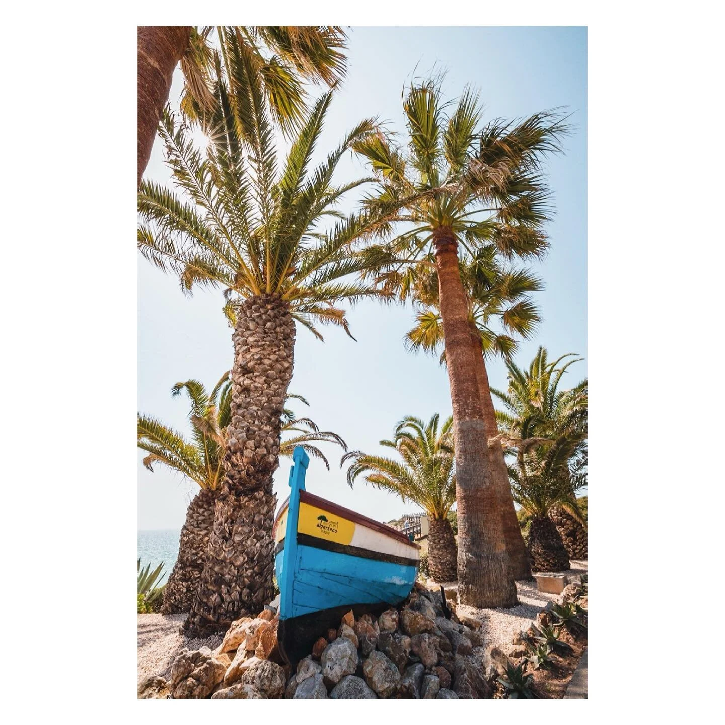 #algarseco #faro #visitalgarve #carveiro #portugal #portugal🇵🇹 #algarveportugal #beachtime #lagosportugal #benagil #pontadapiedade #europetravel #europe_vacations #adventuretime #naturelover #hiking #nature_brilliance #nature_photo #seeqrtravel #fa