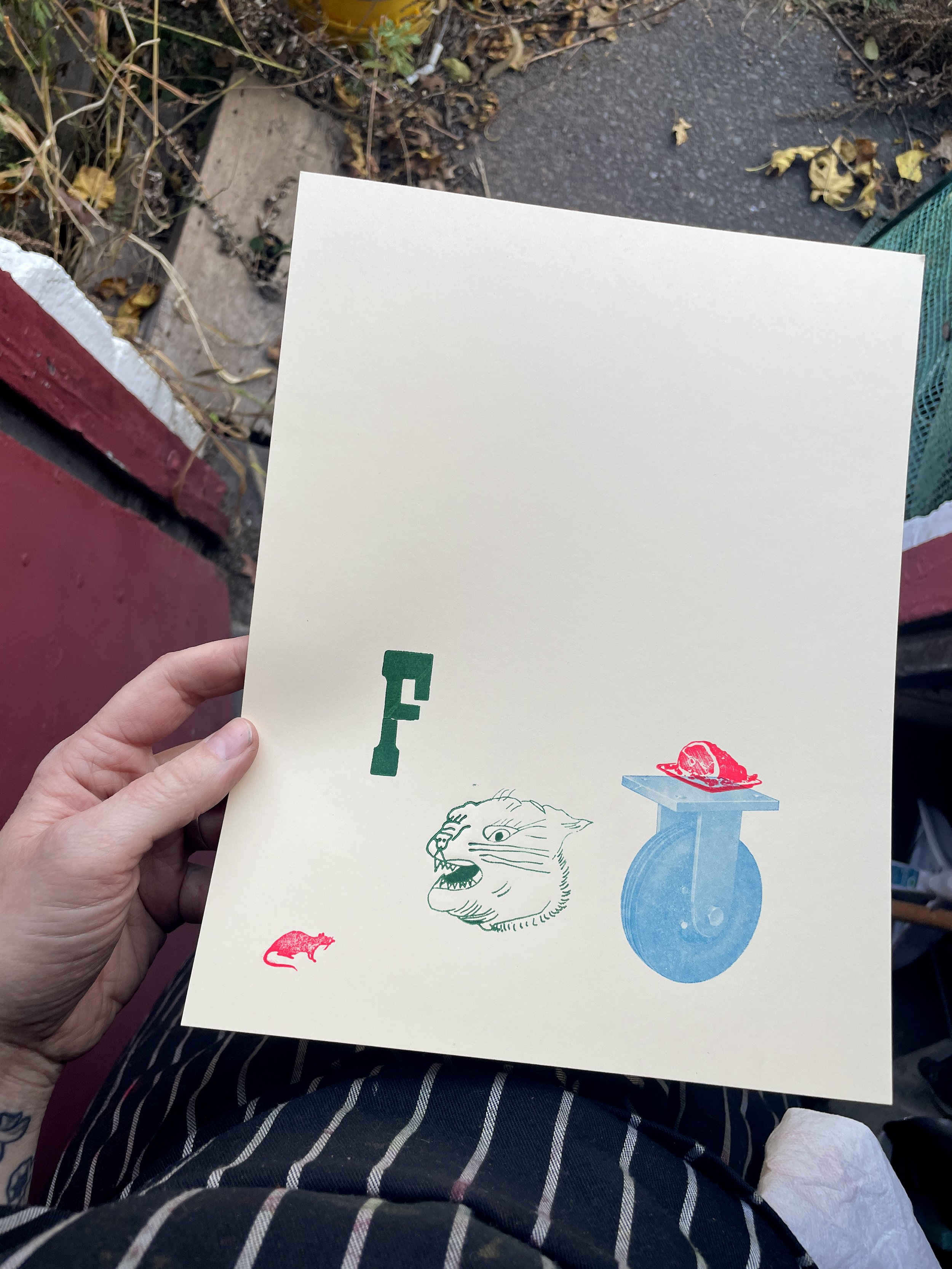 speedy cat refrrences.jpg