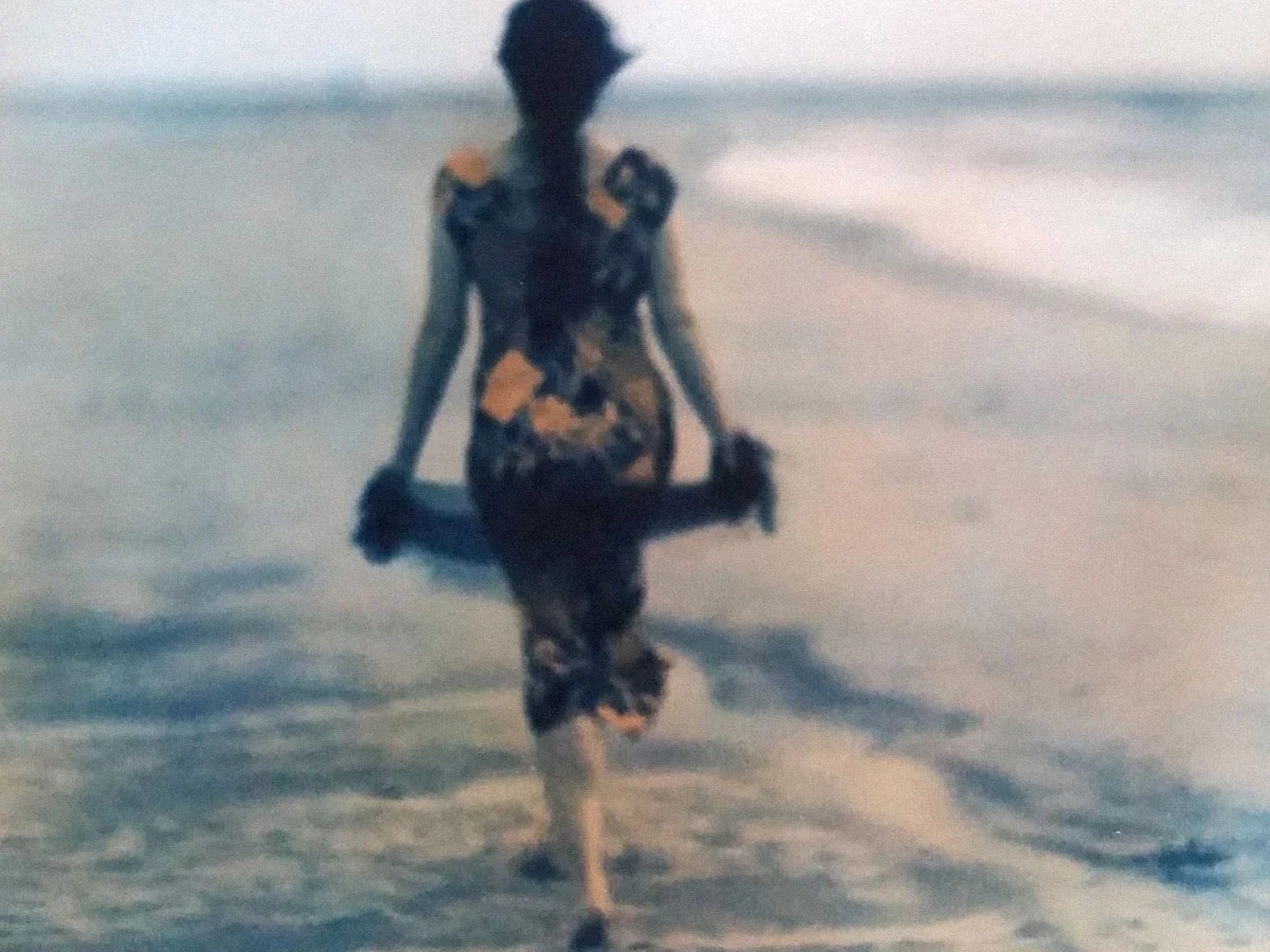 The delightful image: an interview with photographer Diana Bloomfield