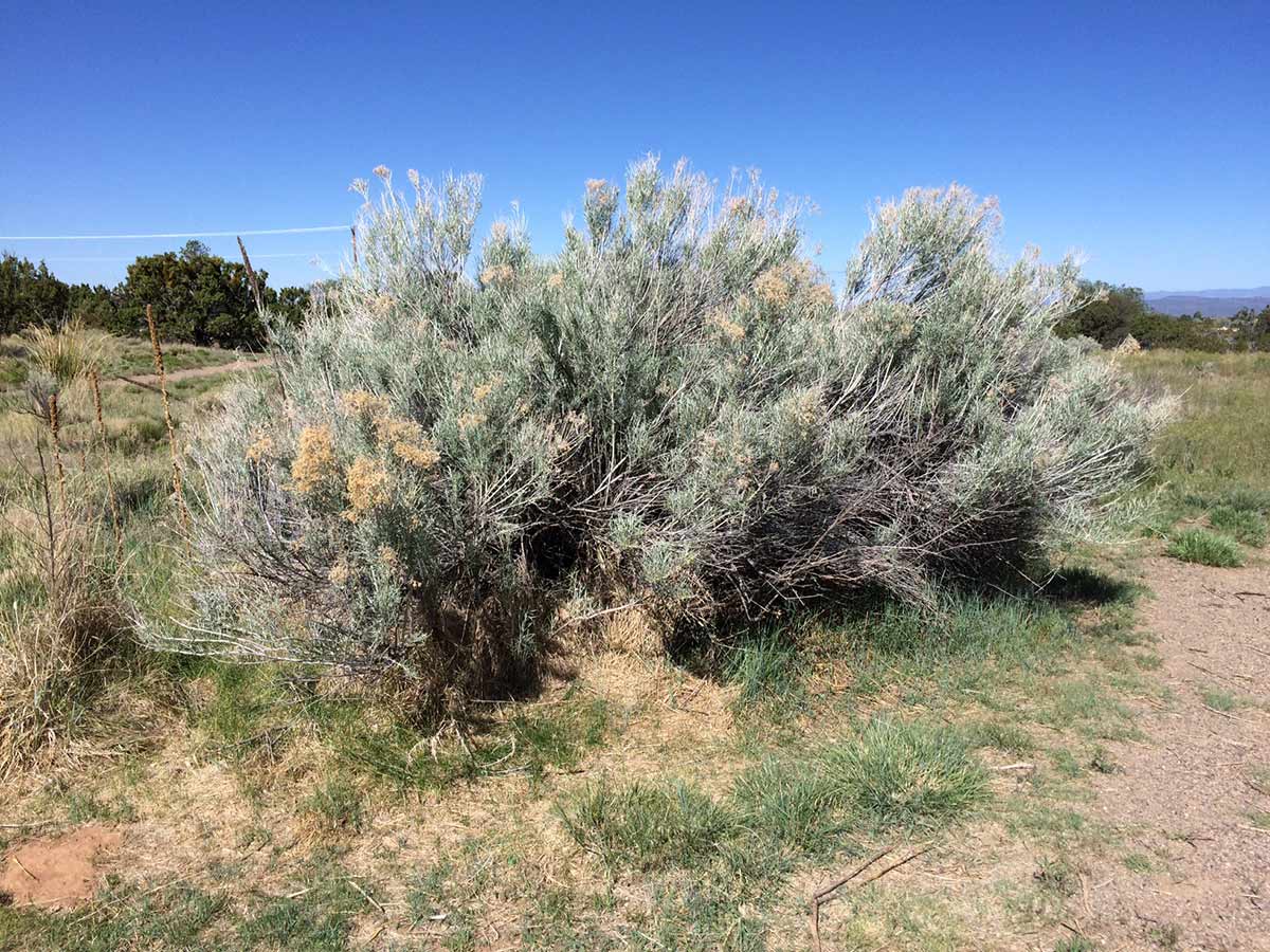 Something about my eight amazing days in the desert