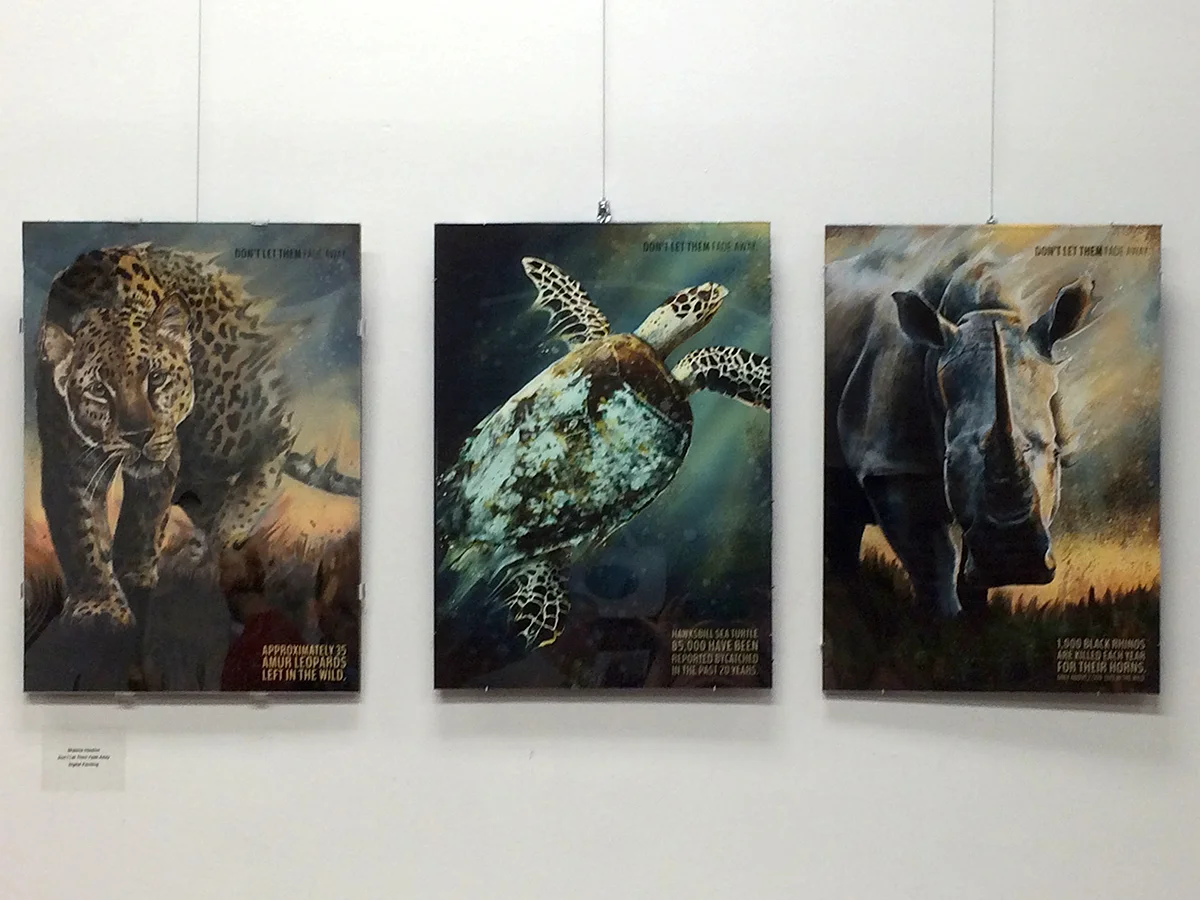 Tigers and Turtles and rhinoceros – a senior graphic design show