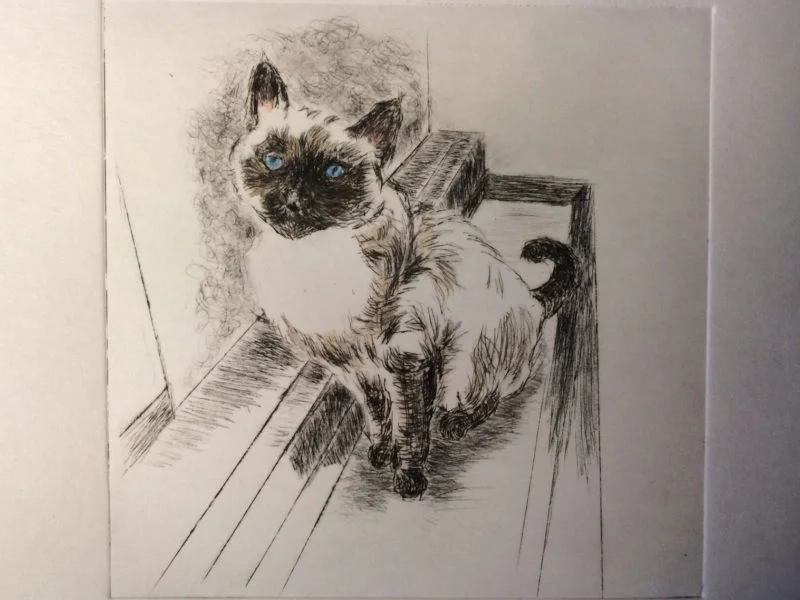 lily-drypoint-e1466032429471.jpg