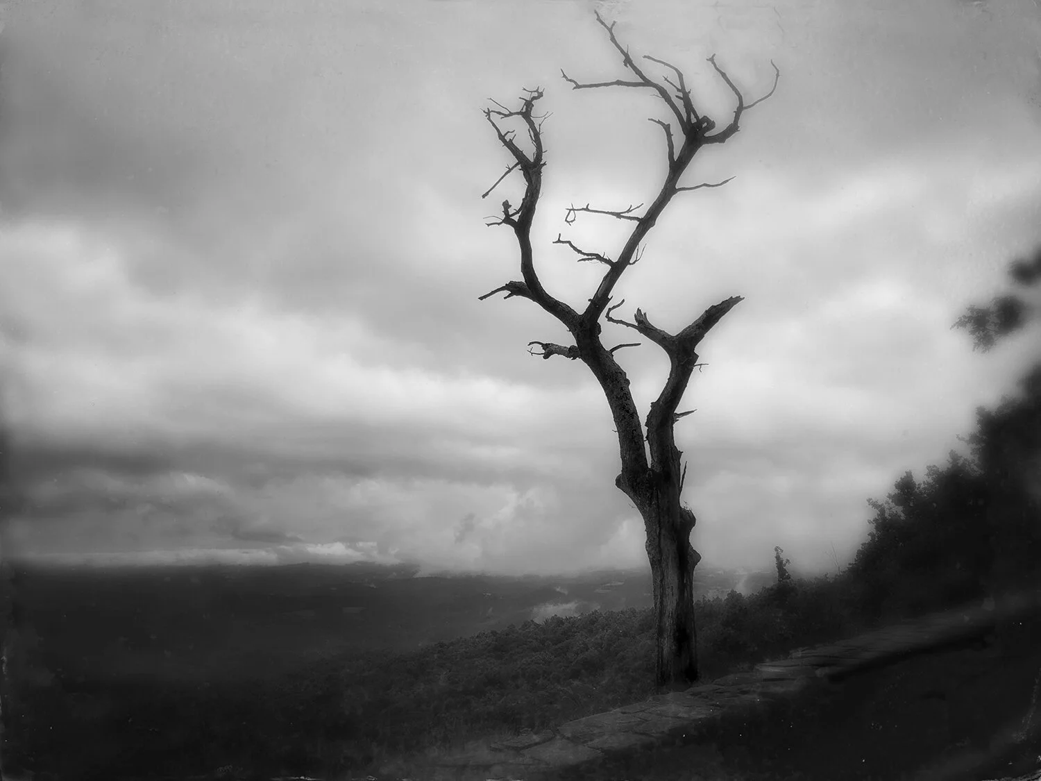 Help me choose four images