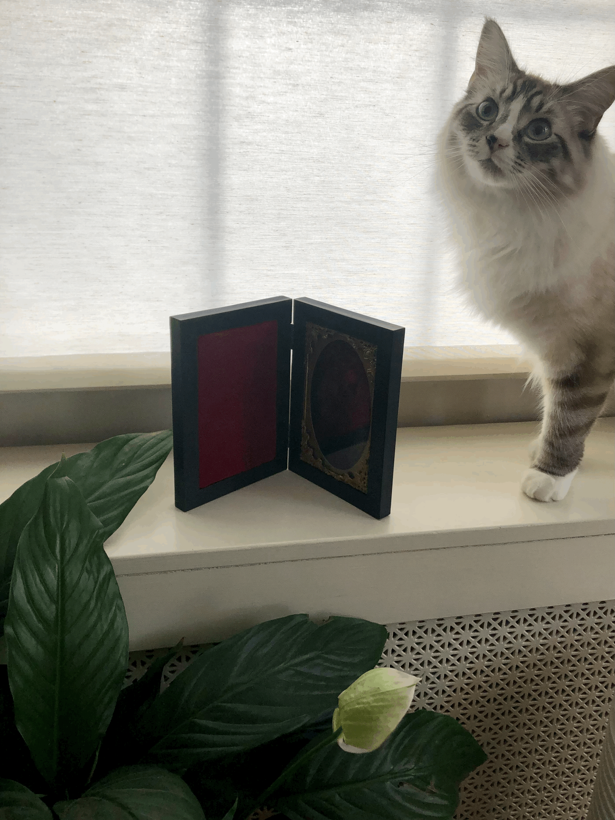 tempImageb9bUba.gif