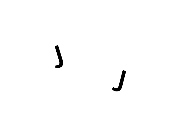 J and J Labradors