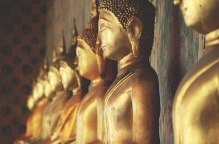 BIP Asia Tours