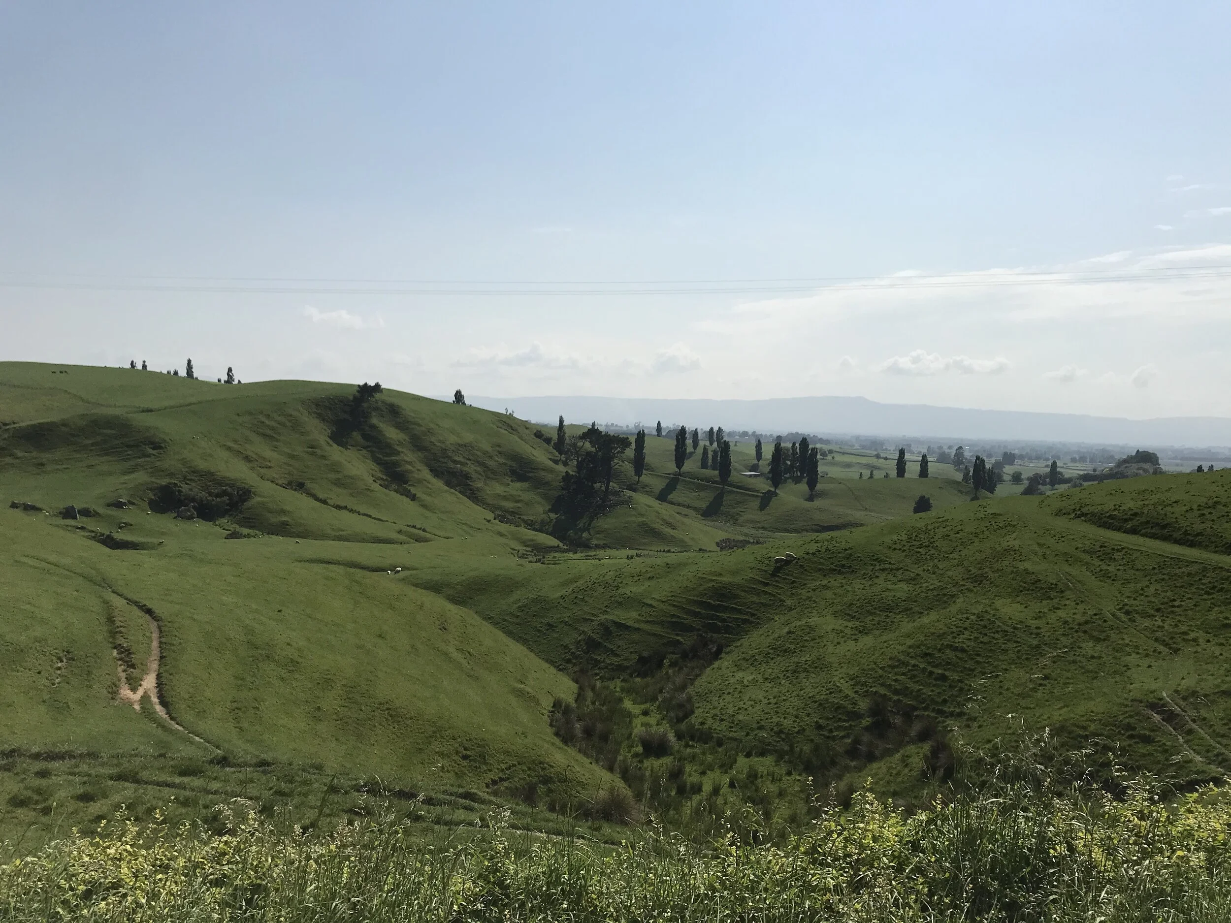 Working Out While on Vacation