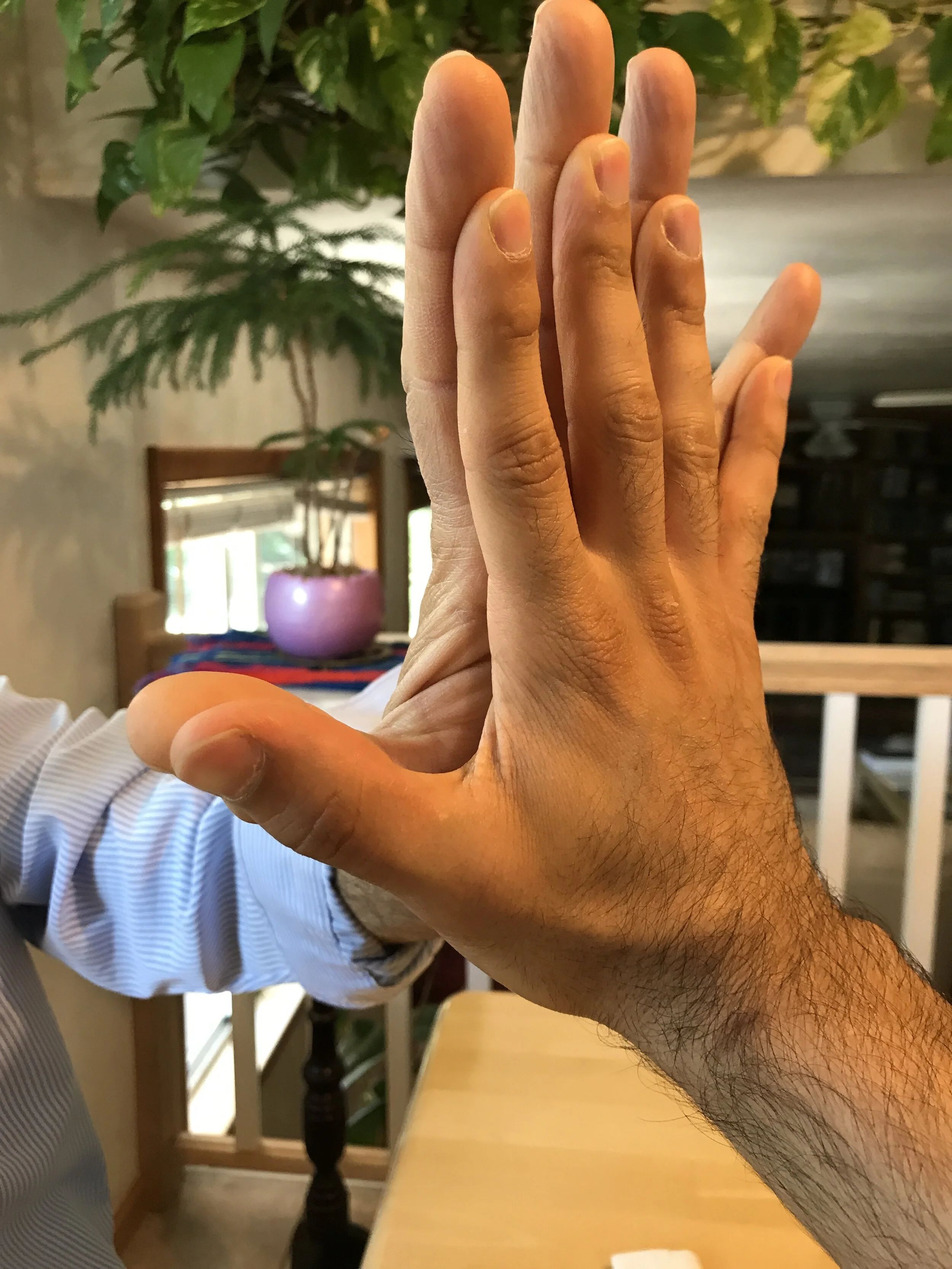 Muscle Insertions and Genetics