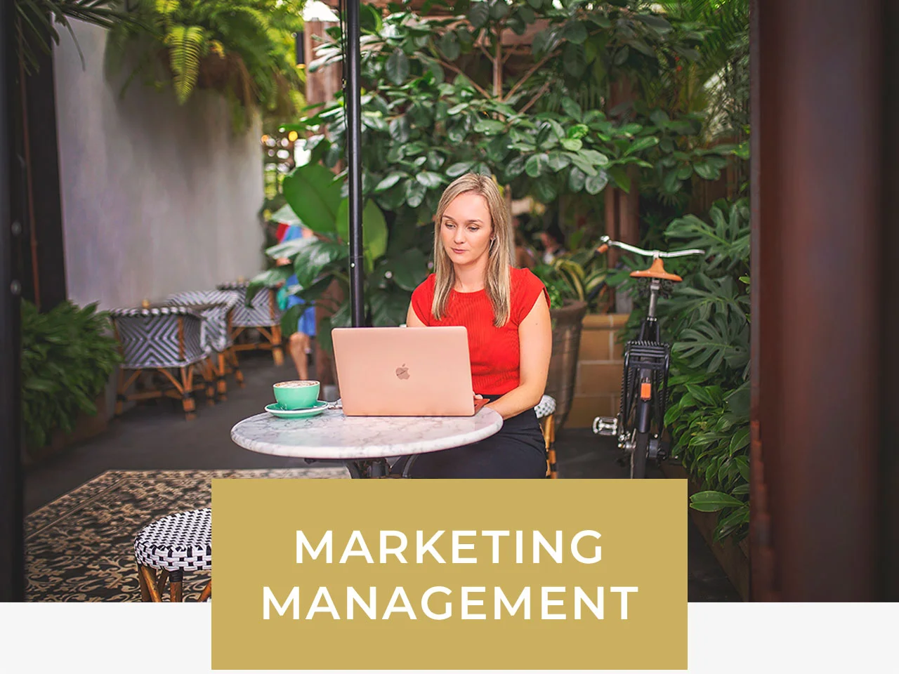 Marketing-Management.jpg